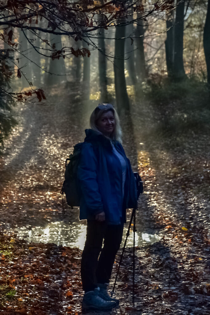 Utorka bloga na szlaku w jesiennym lesie