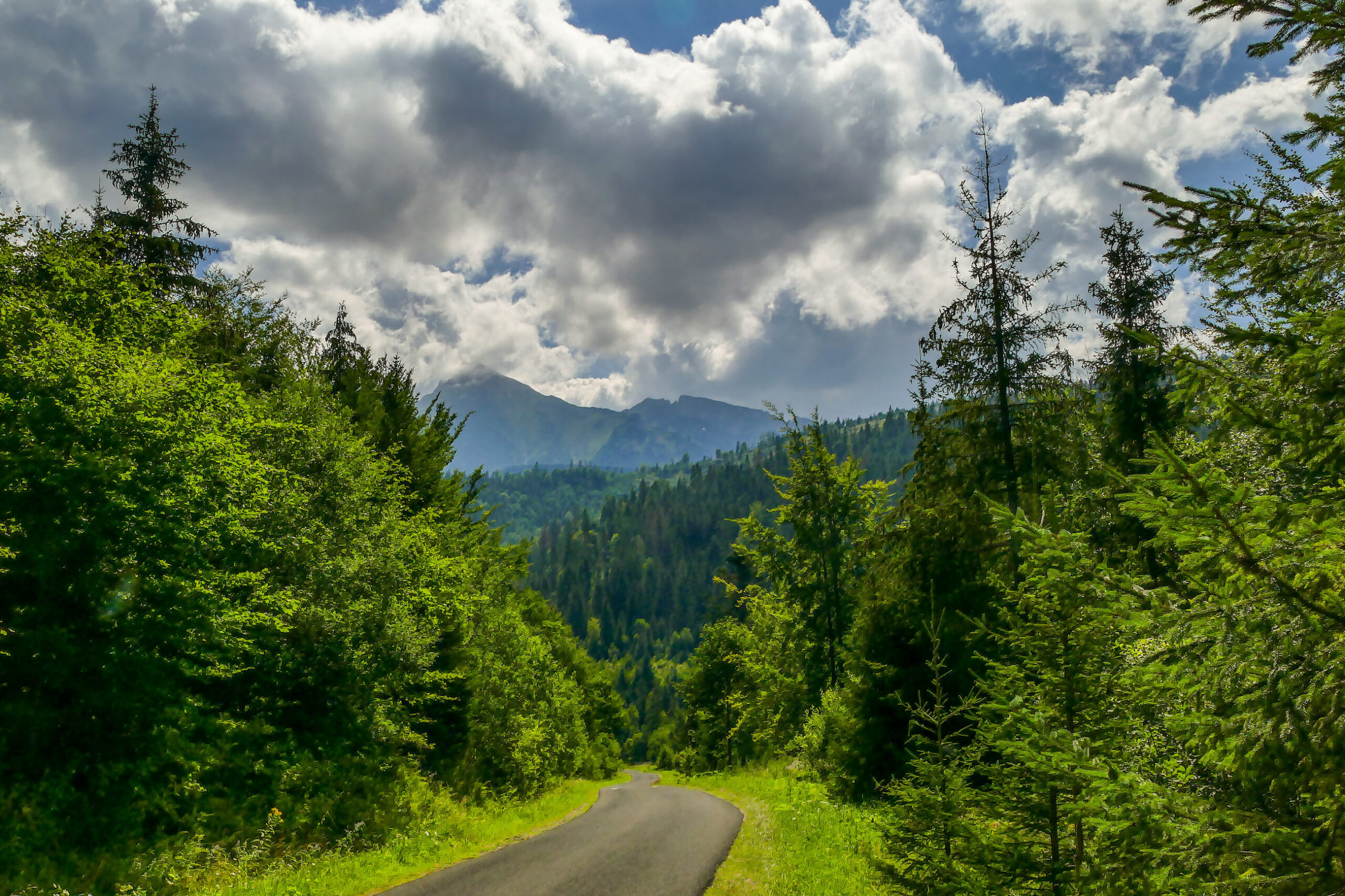 Droga rowerowa do Osturni, Tatry wystajace ponad koronami drzew