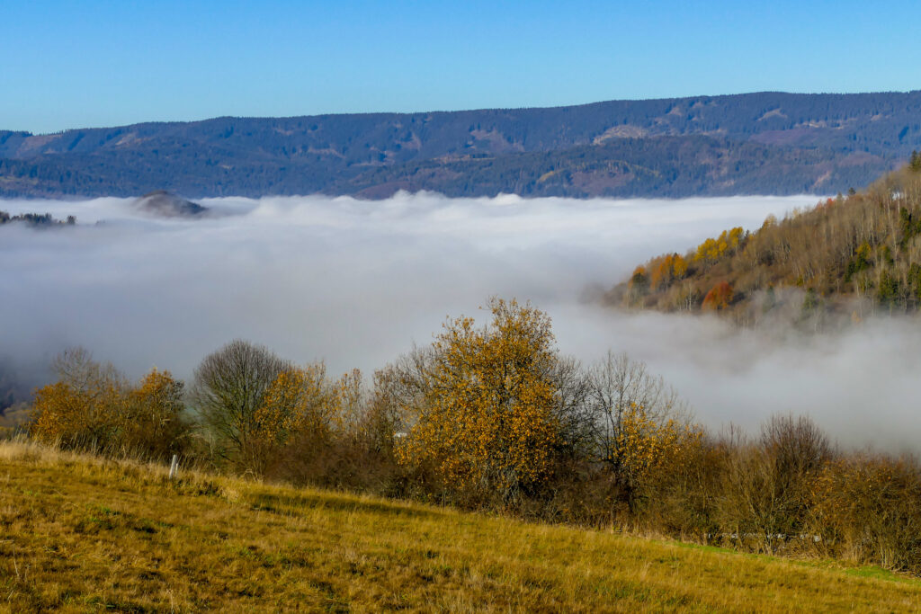 Mgły w dolinach-Orawa