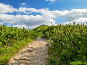 Z Grzesia na Rakoń.