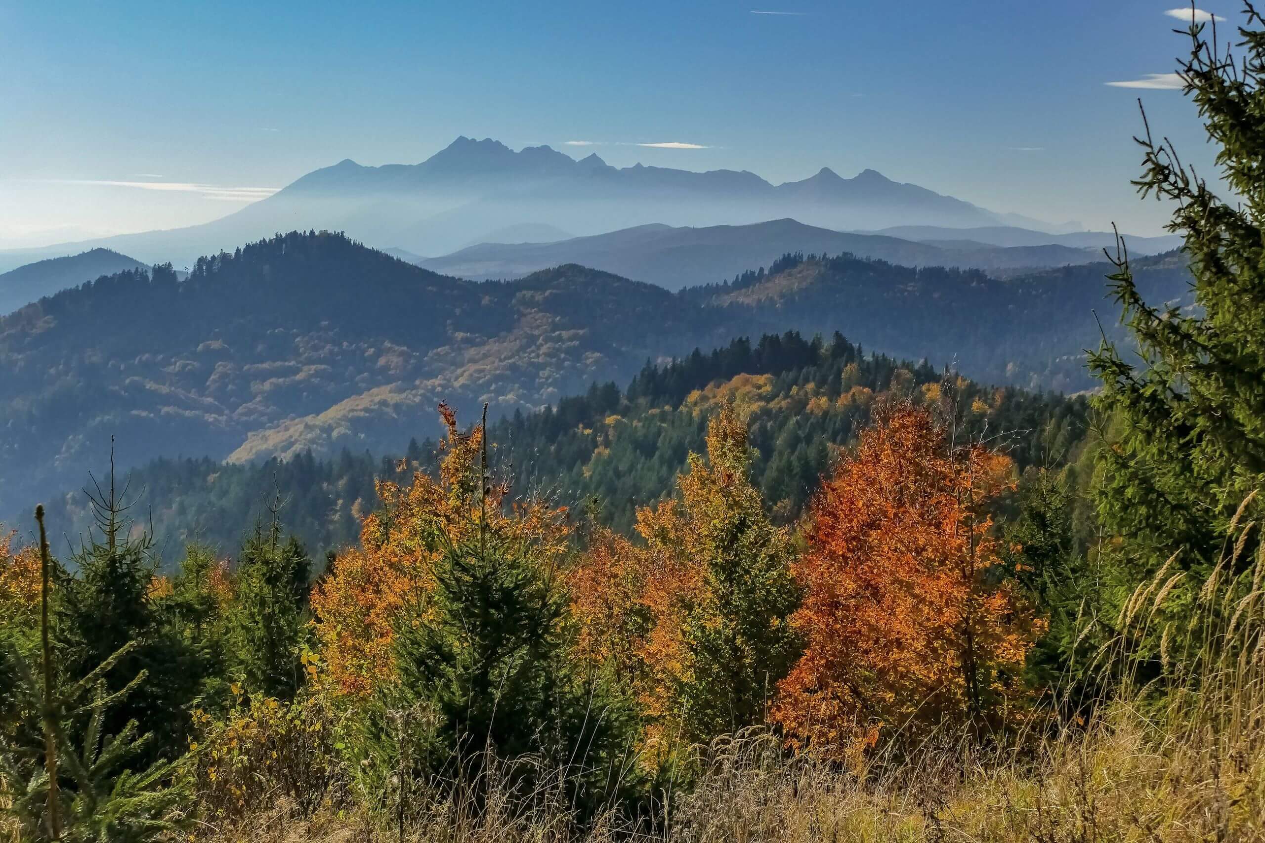 Velka Kycera widok na Tatry