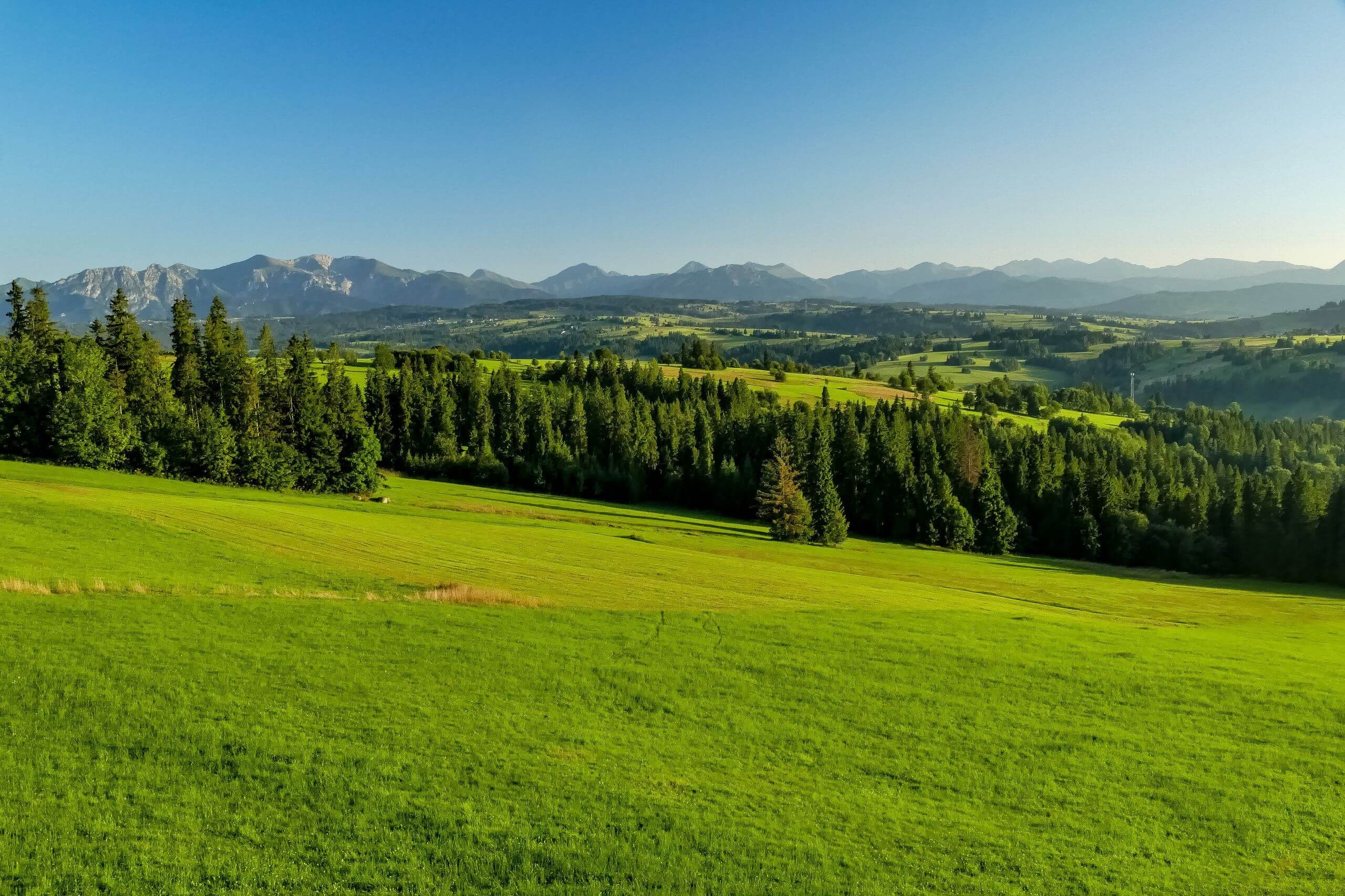 Bachledówka- panorama Tatr
