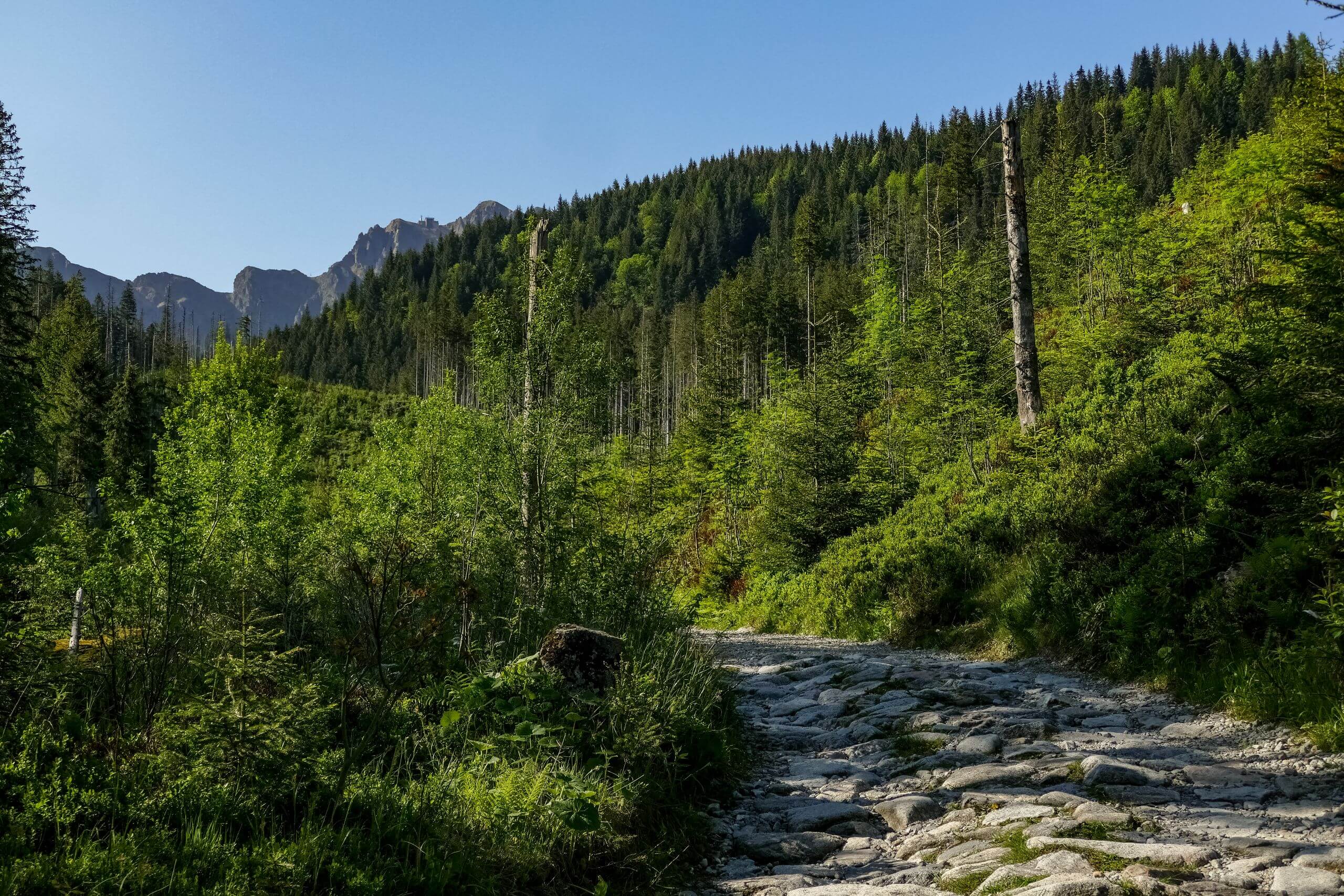 Szlak na Kasprowy Wierch