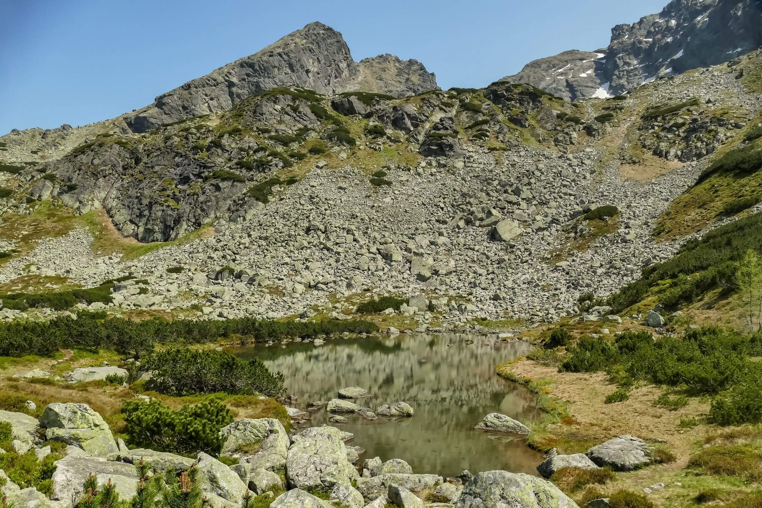 Hala Gąsienicowa i stawy
