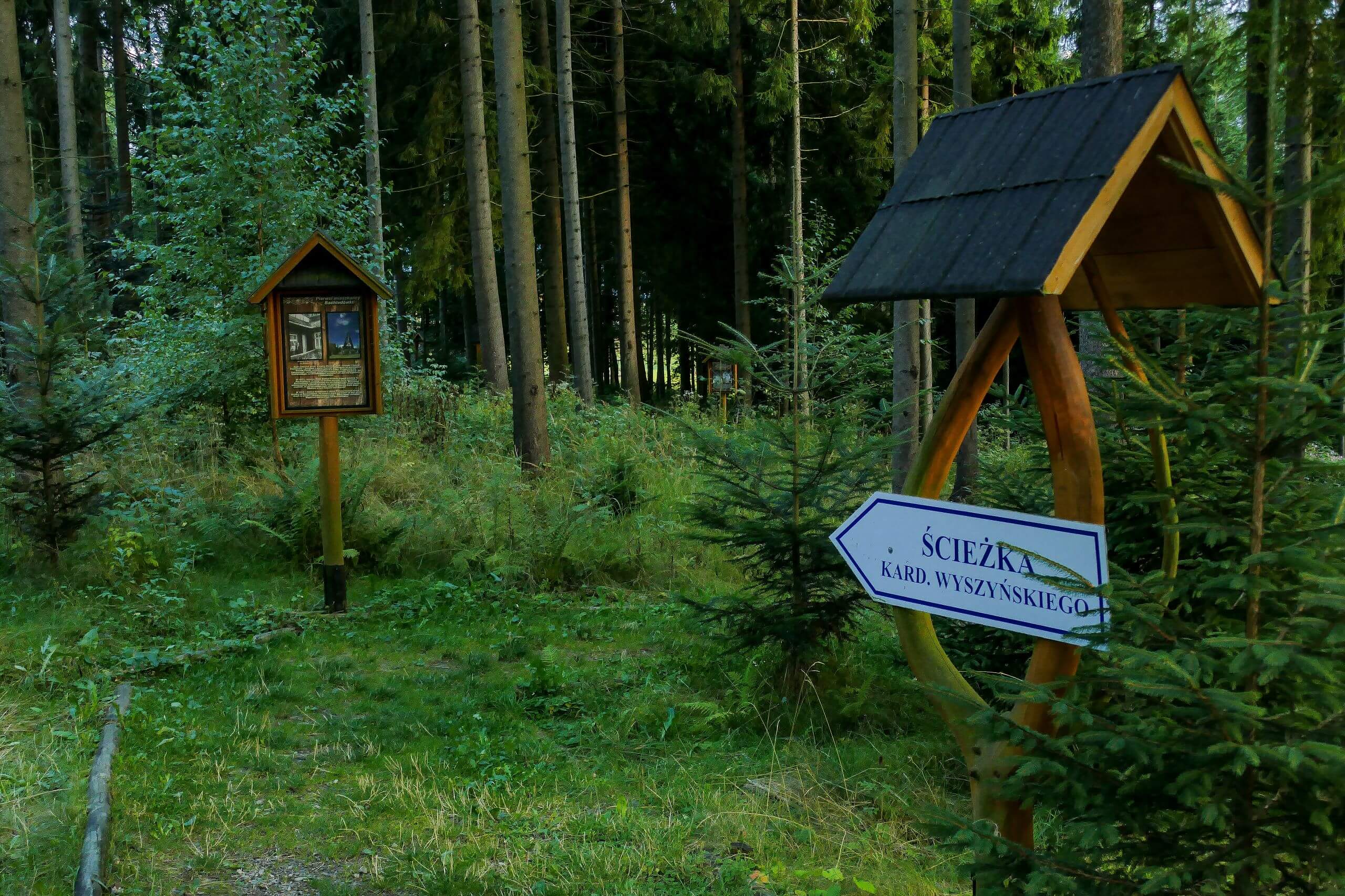 Ścieżka Kardynała Wyszyńskiego