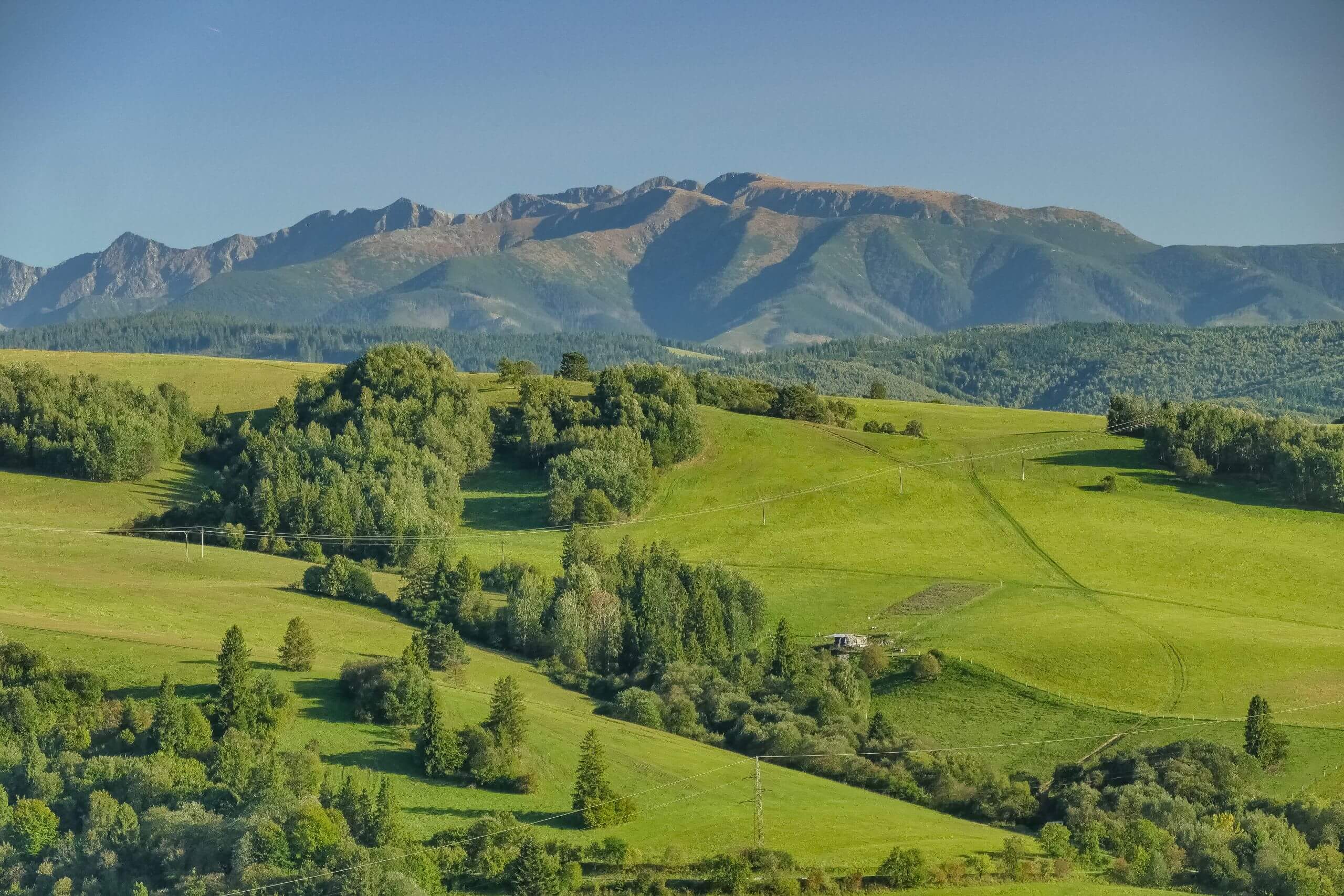 Widok na Tatry ze szlaku na Magurkę