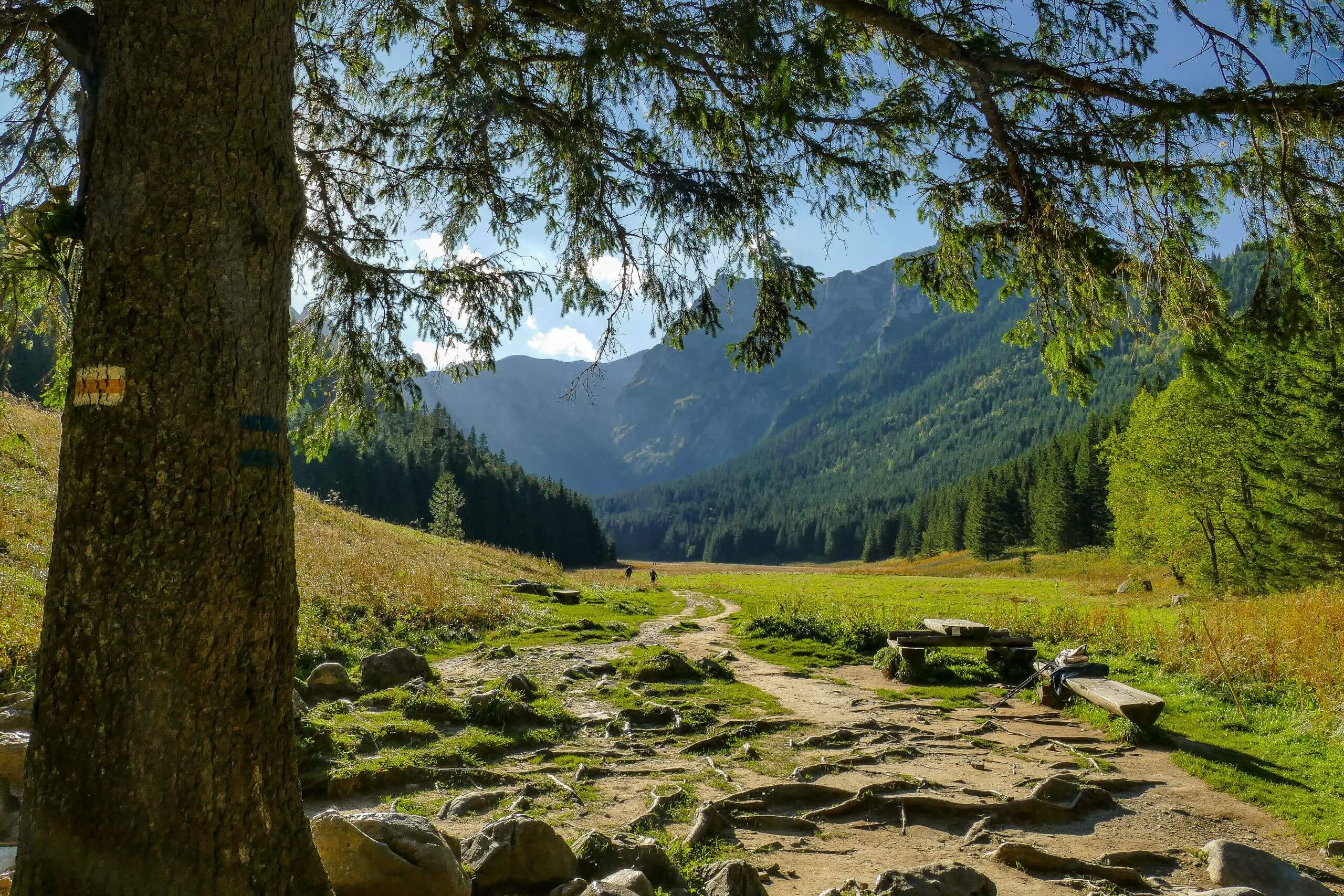 Dolina Małej Łąki