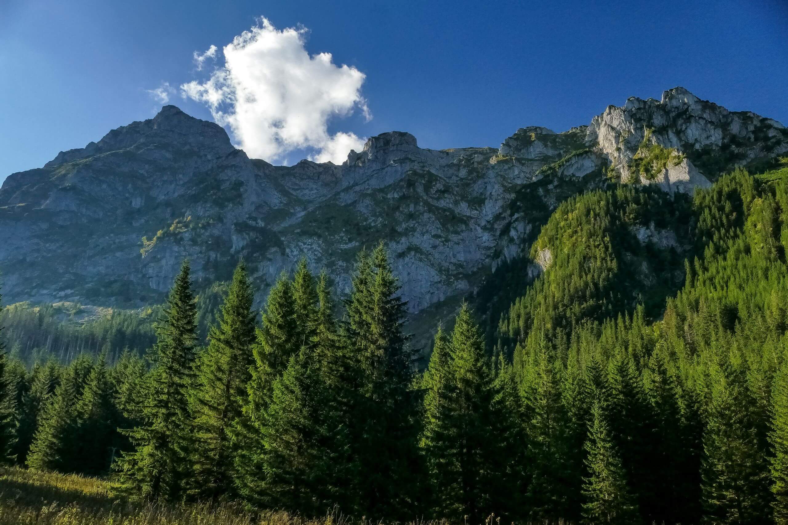 Tatry Zachodnie