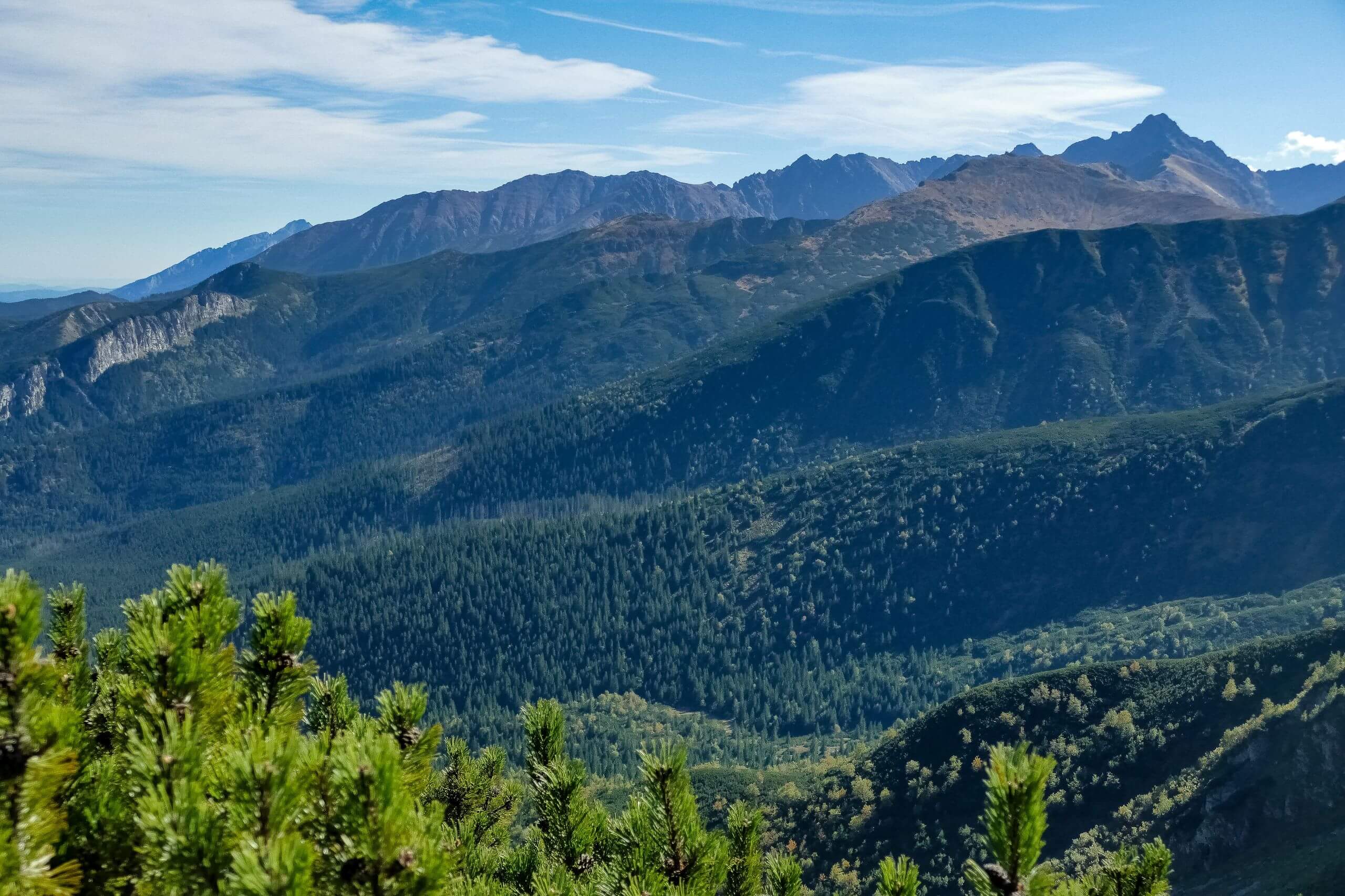 Tatry z Kondrackiej Przełęczy
