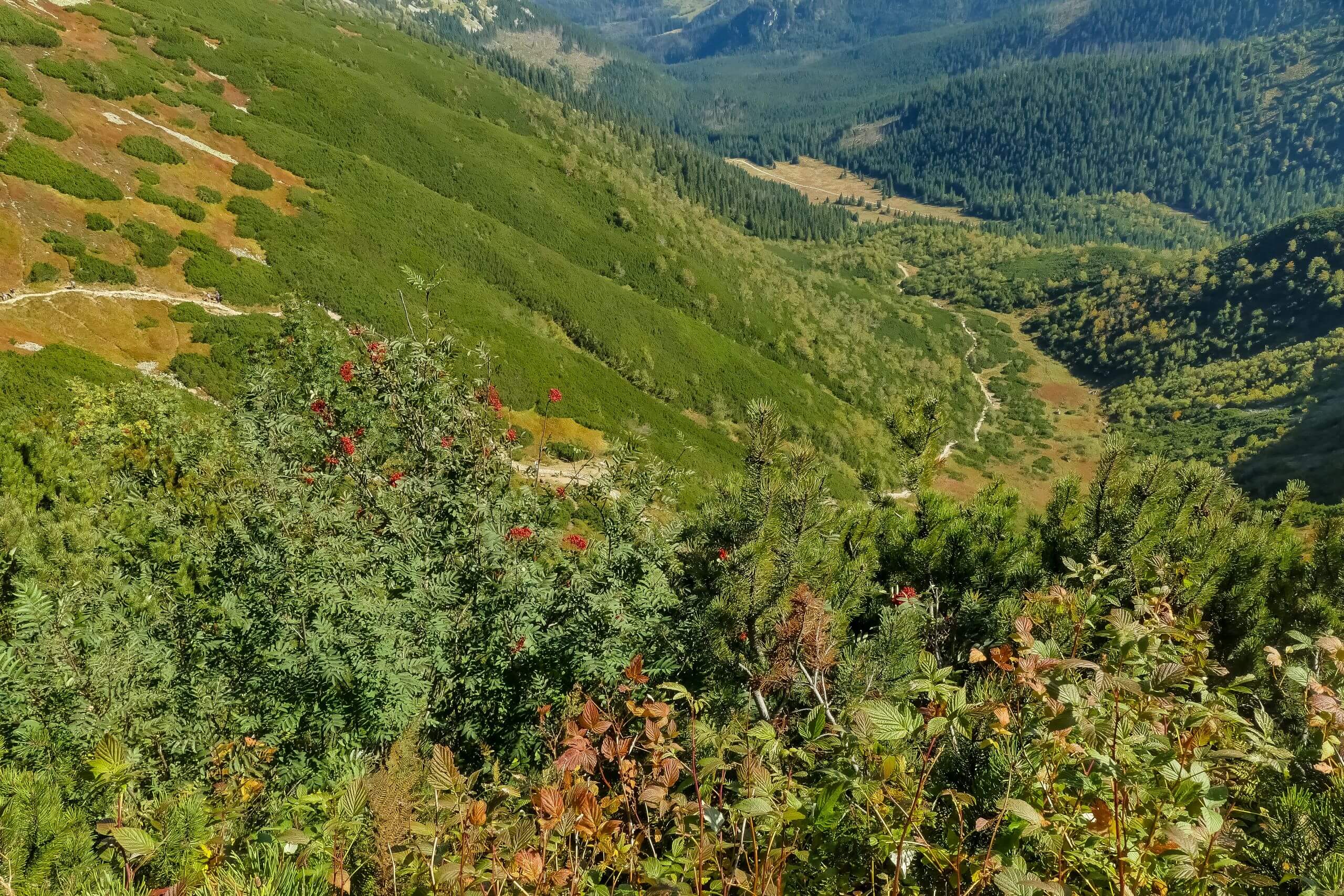 Zejście na Halę Kondratową