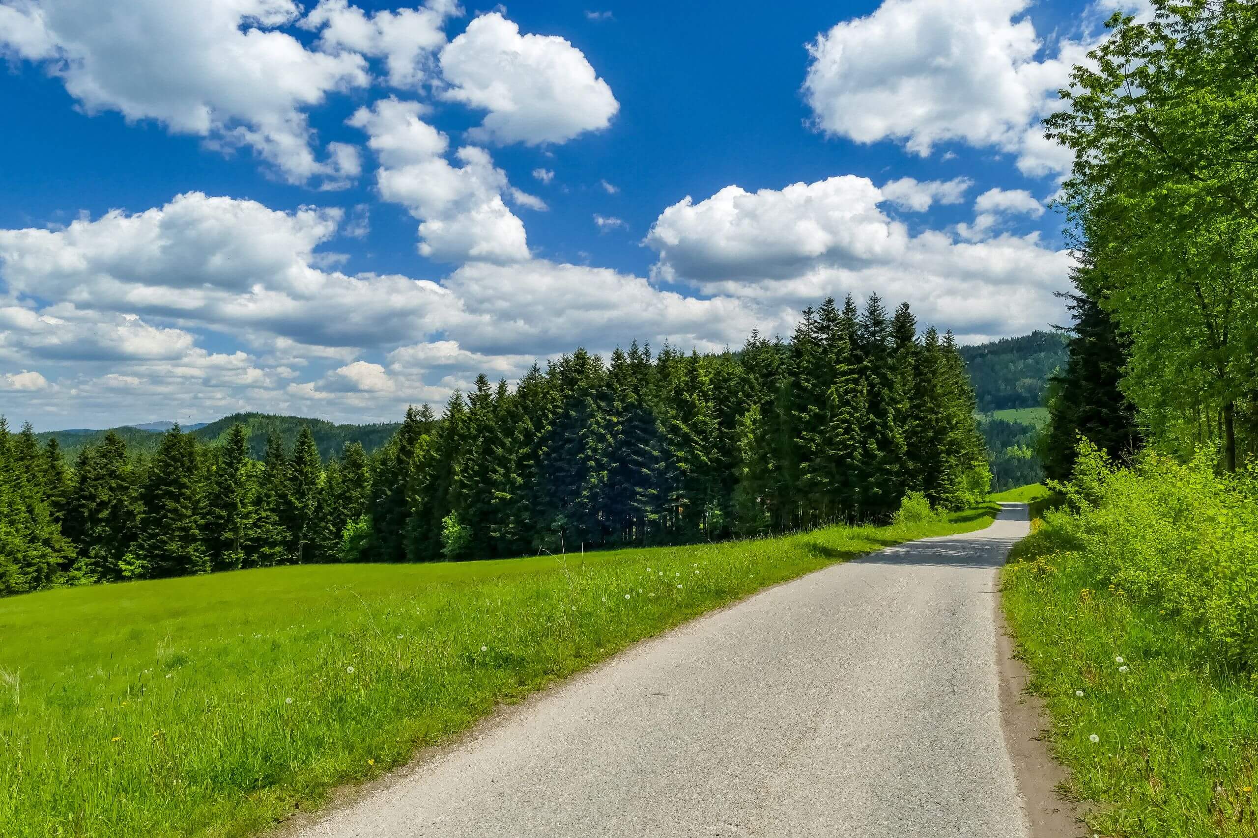 Szlakiem z Olszówki na Tobołczyk