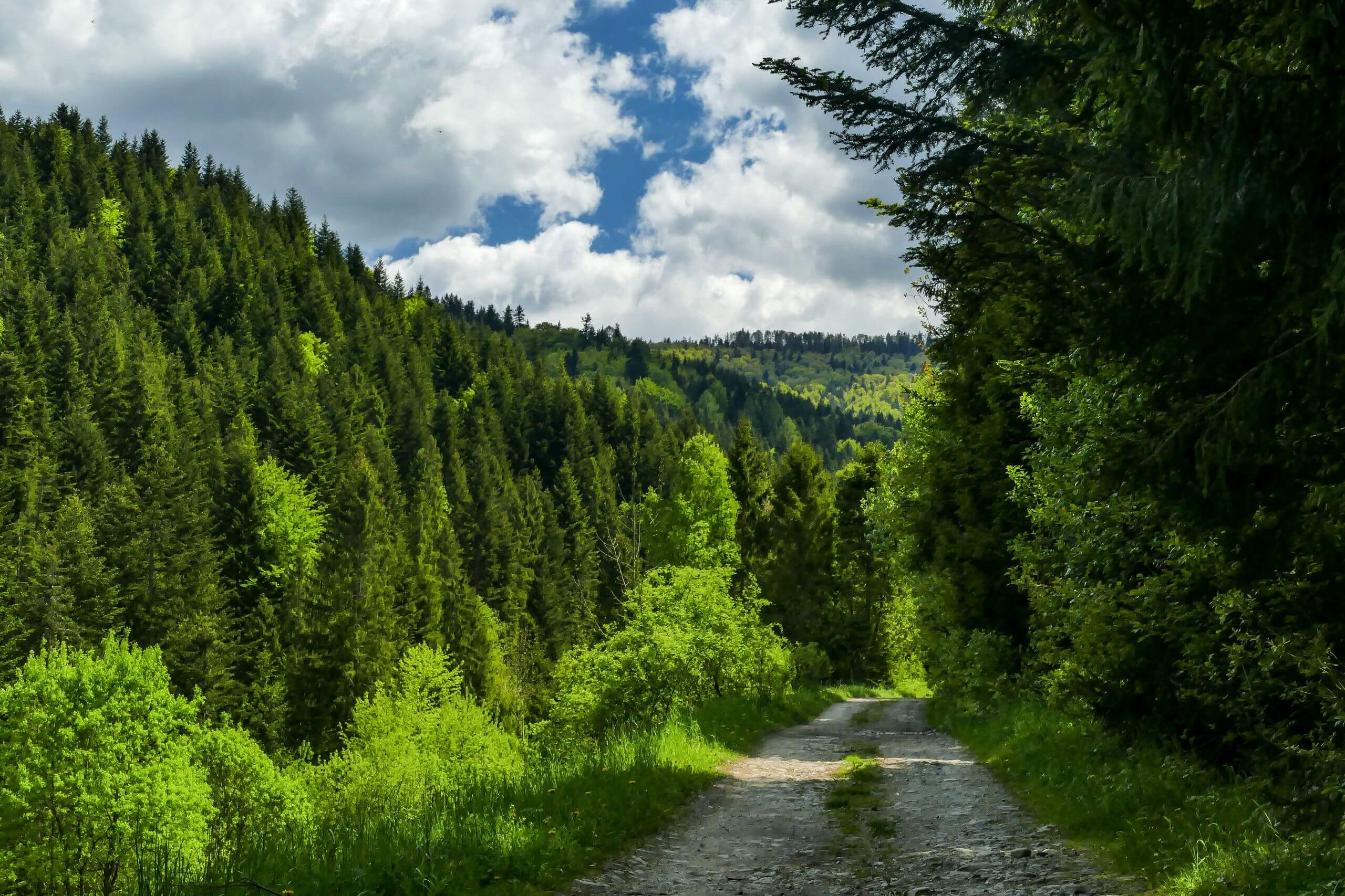 Szlakiem z Olszówki na Tobołczyk