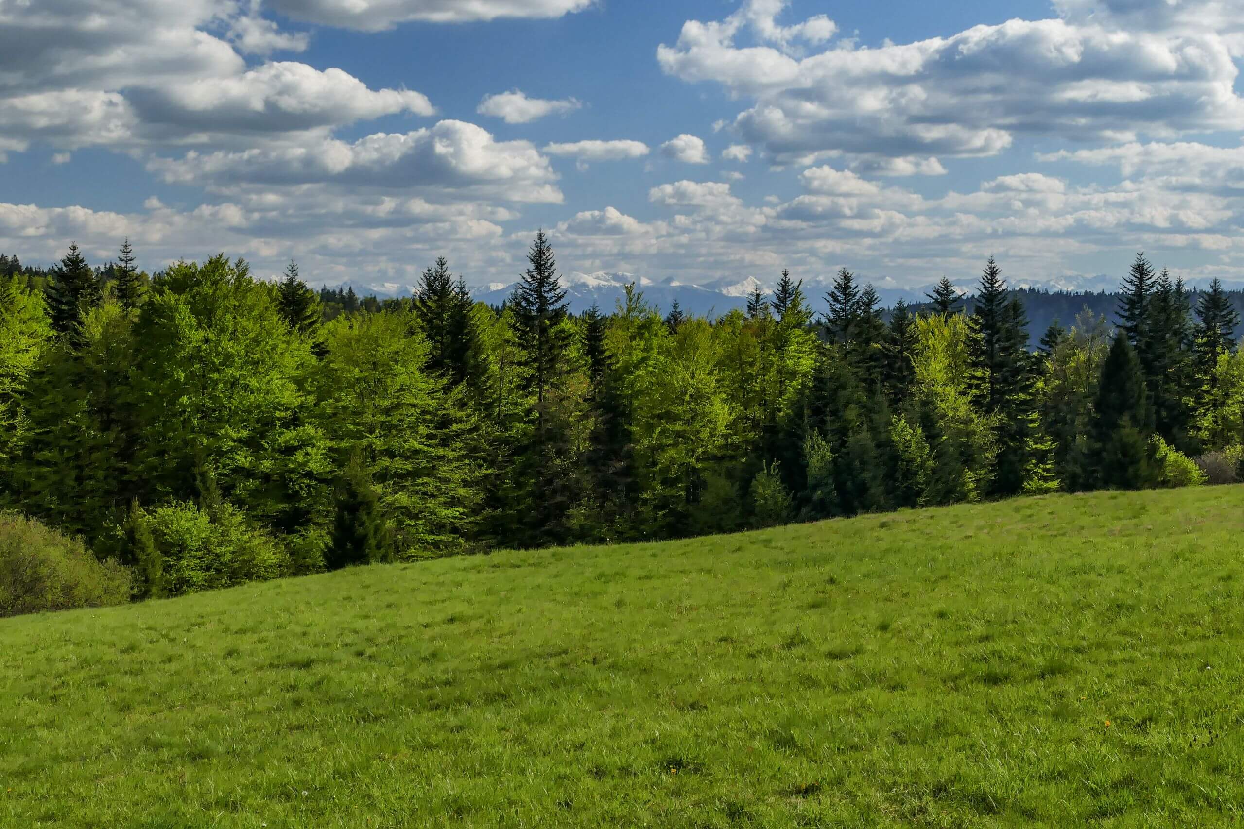 Widok z Polany Pudziska