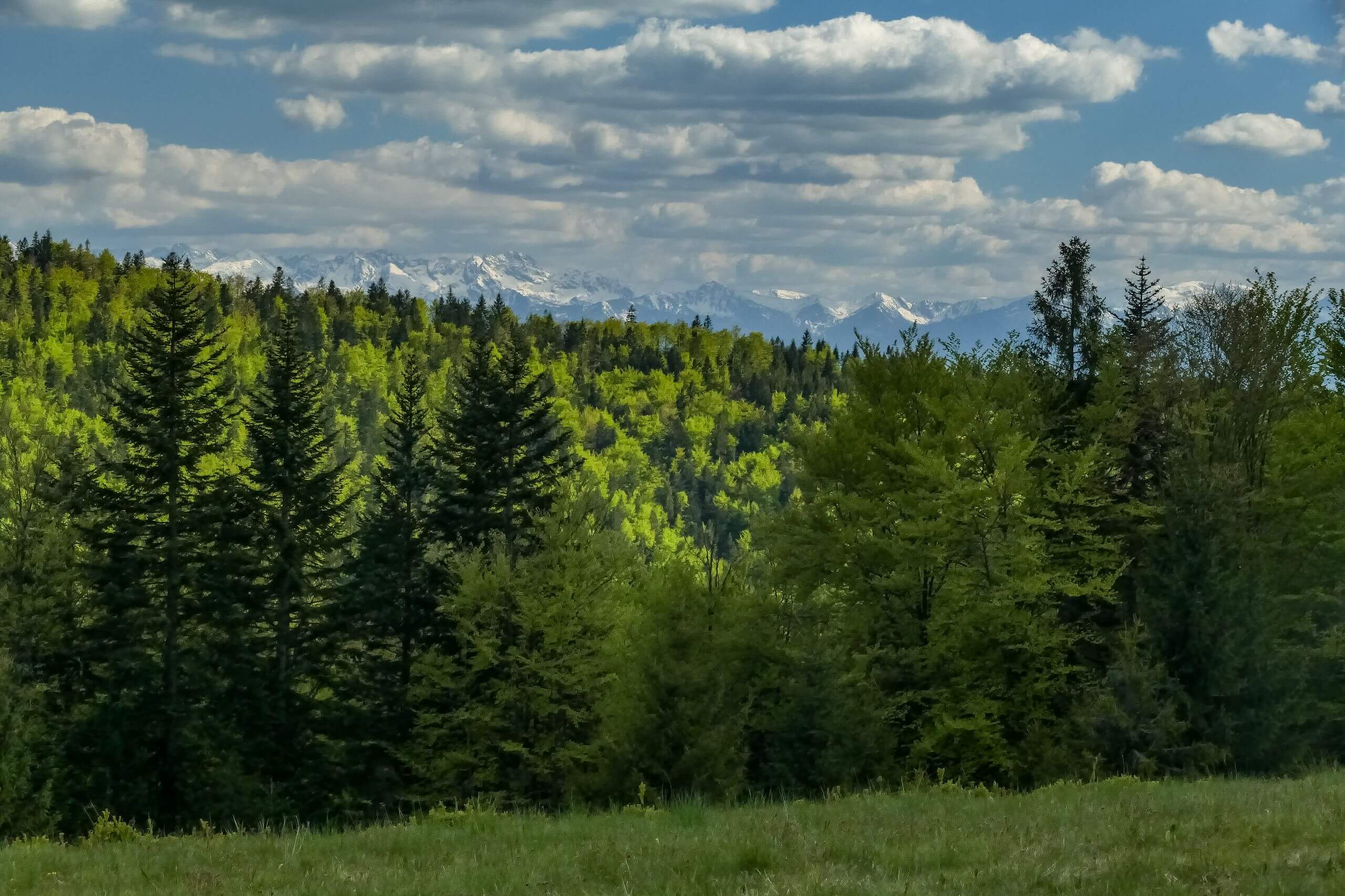 Widok z Polany Pudziska