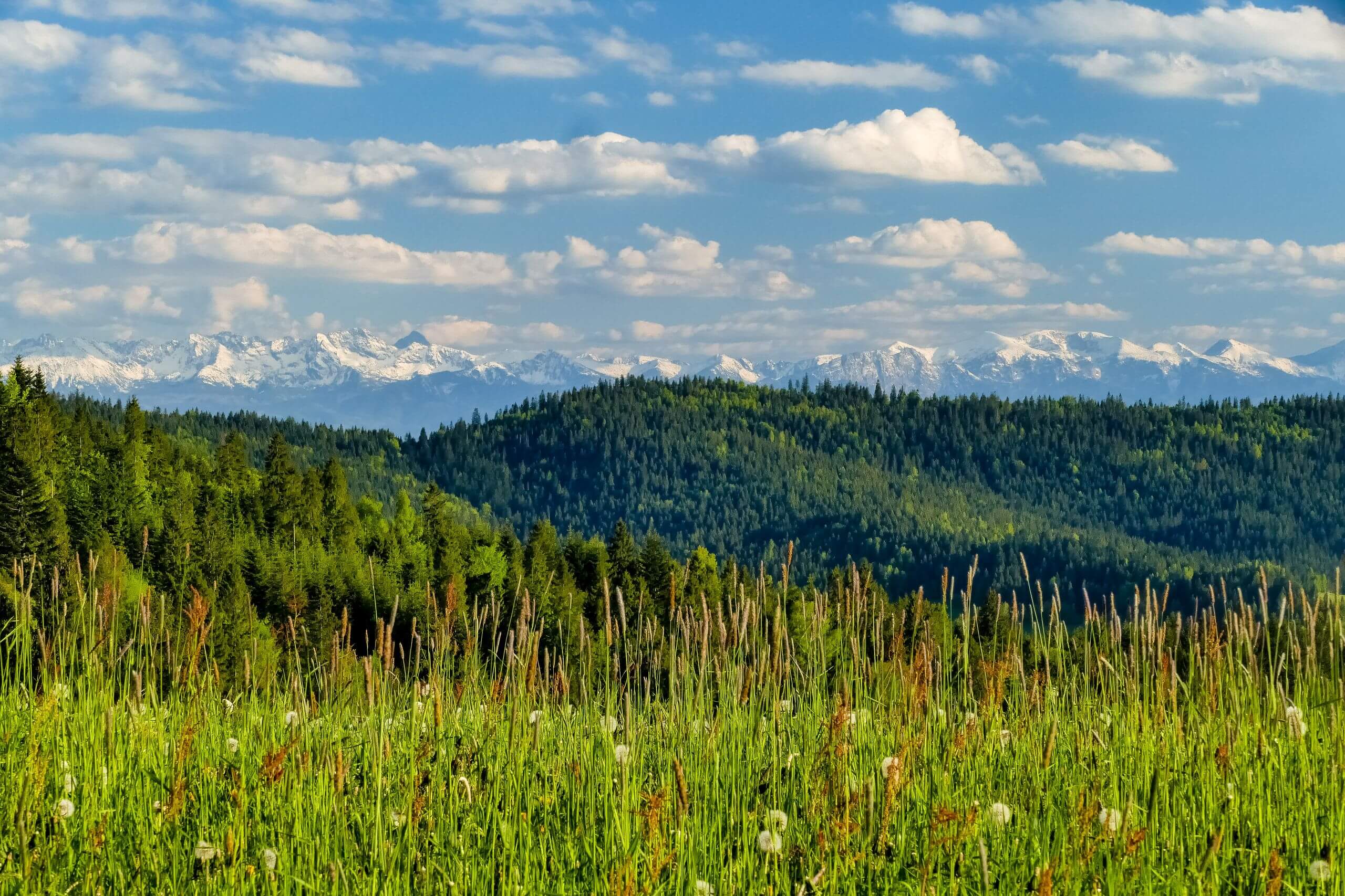 Widok na Tatry z Maciejowej