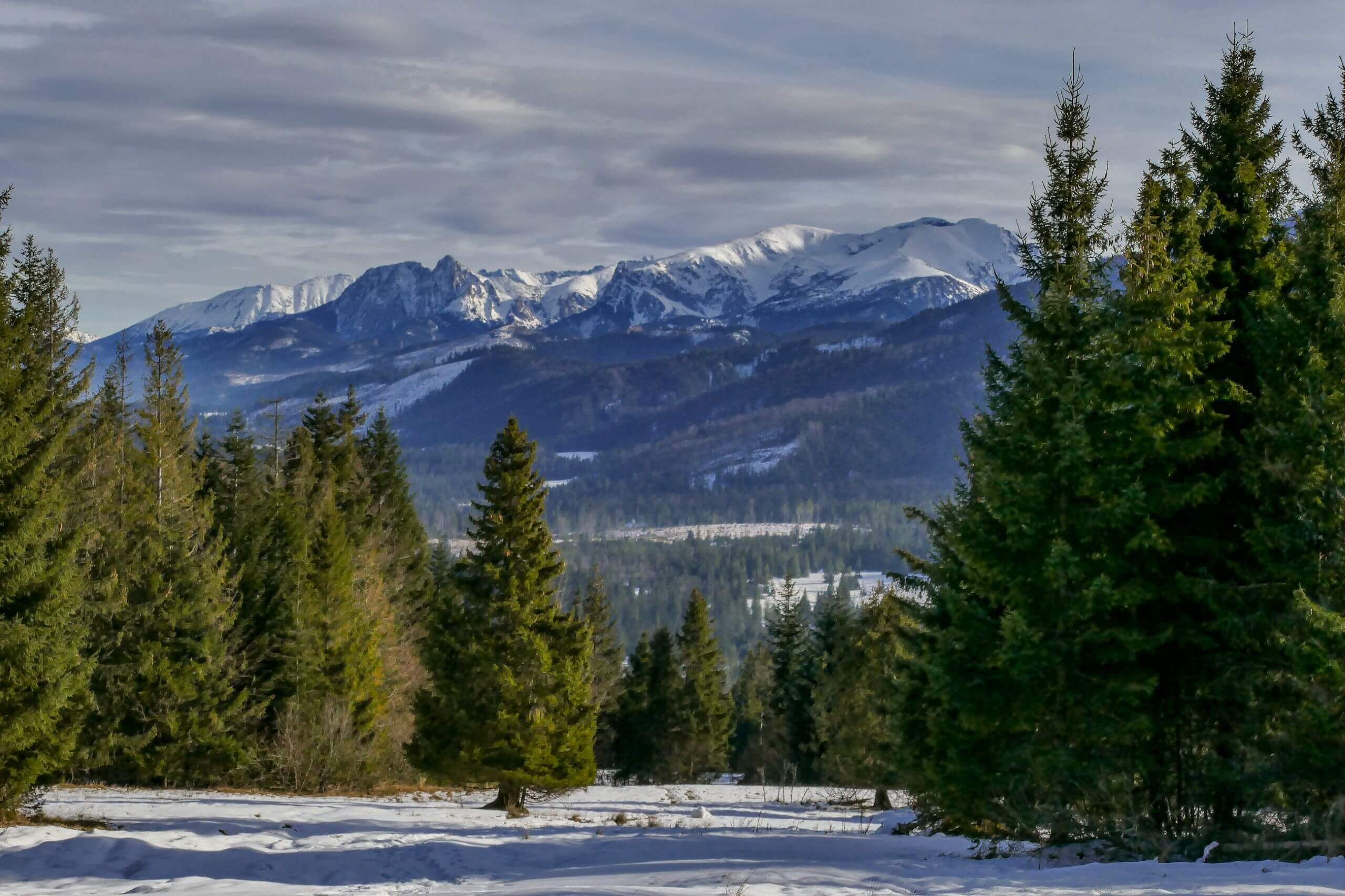 Szlak z Oravicy na Skoruszynę