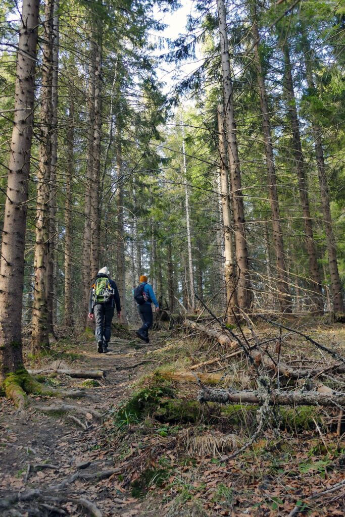 Lasem na Skoruszynę