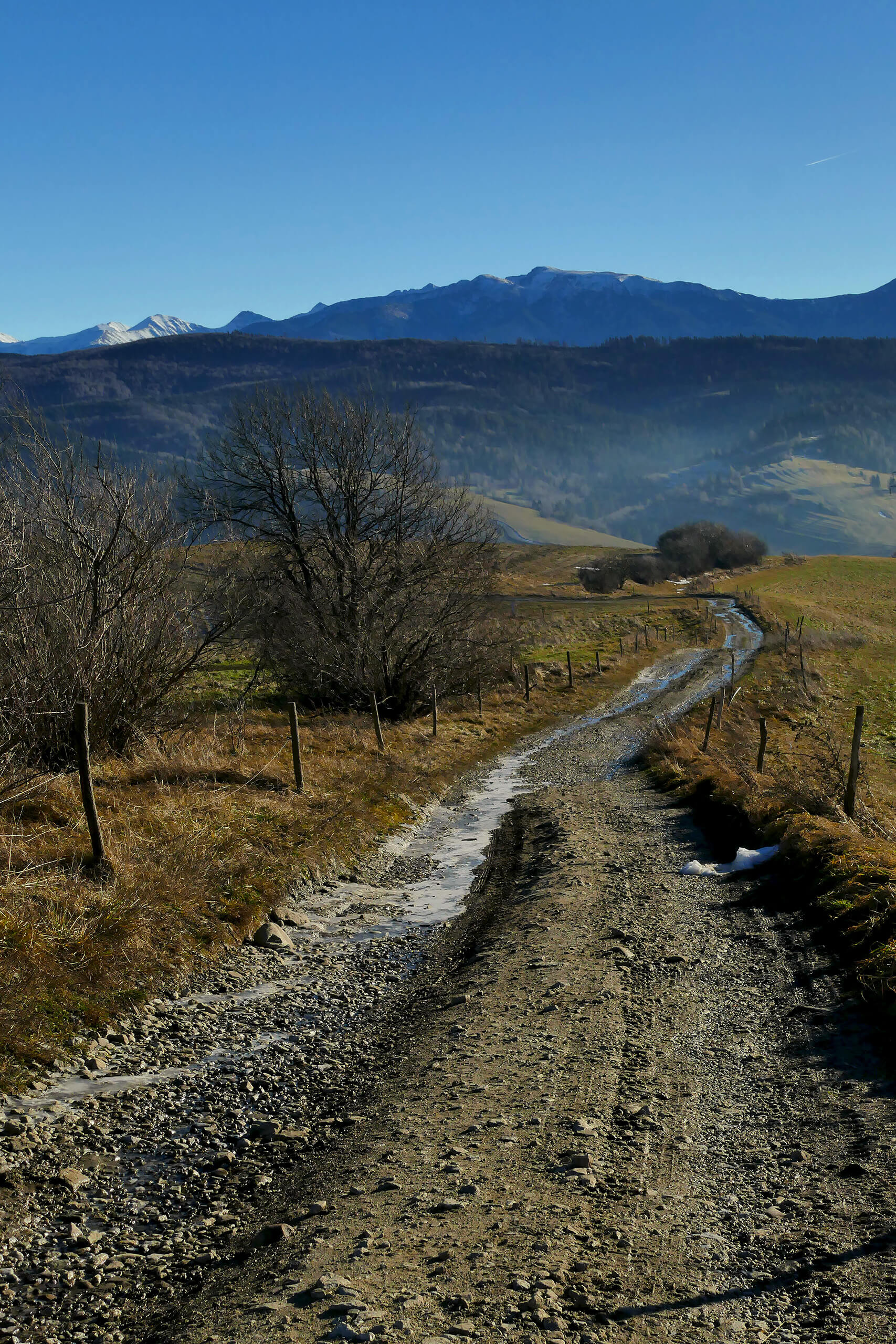 Szlak na Jaworowy Wierch