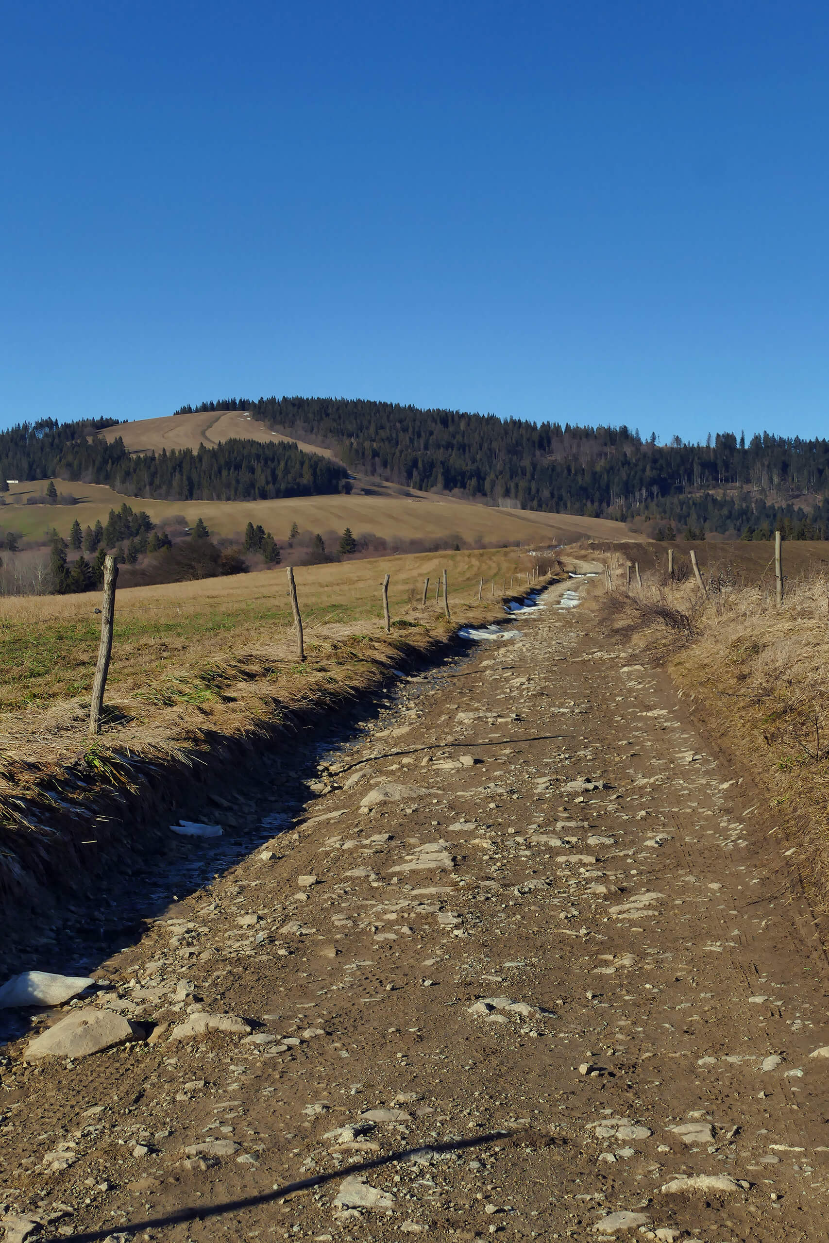 Szlak na Jaworowy Wierch