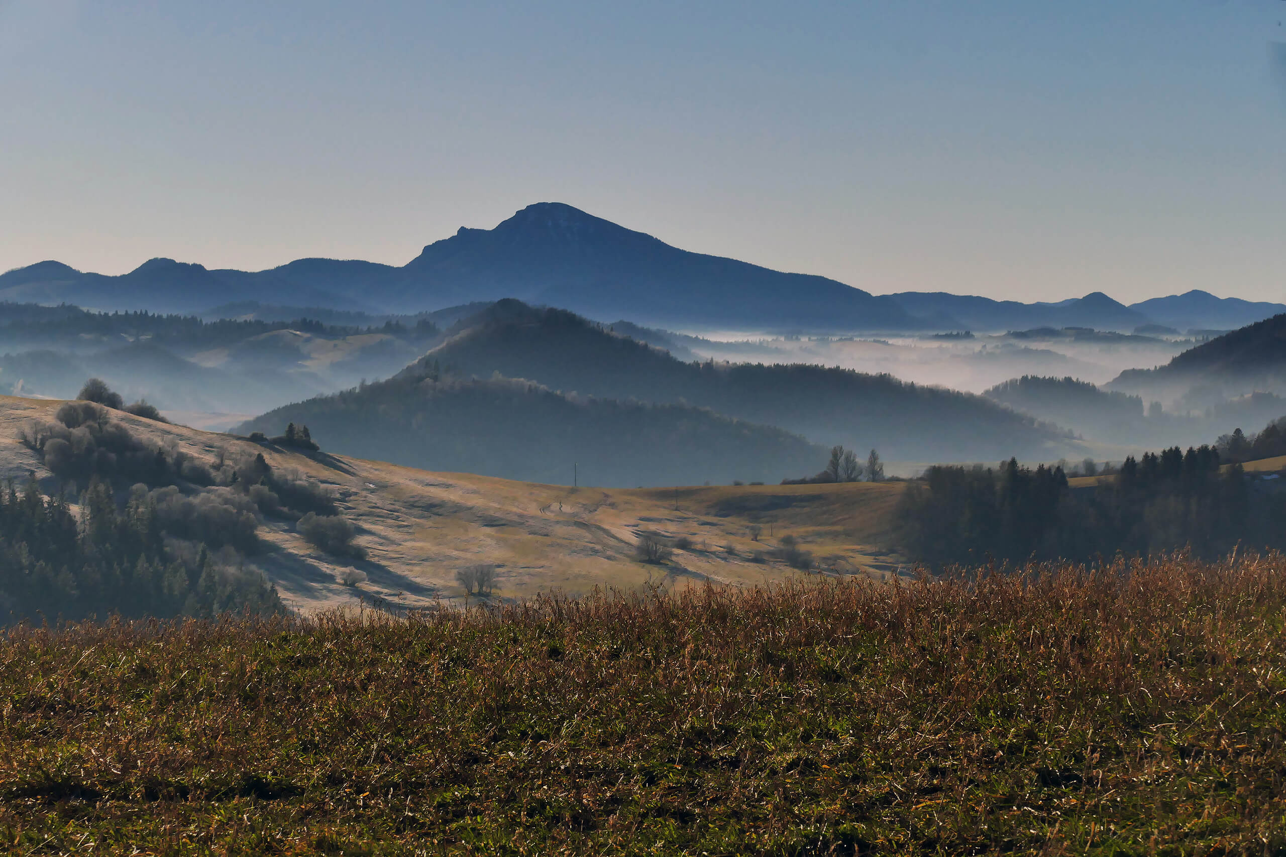 Szlak na Jaworowy Wierch