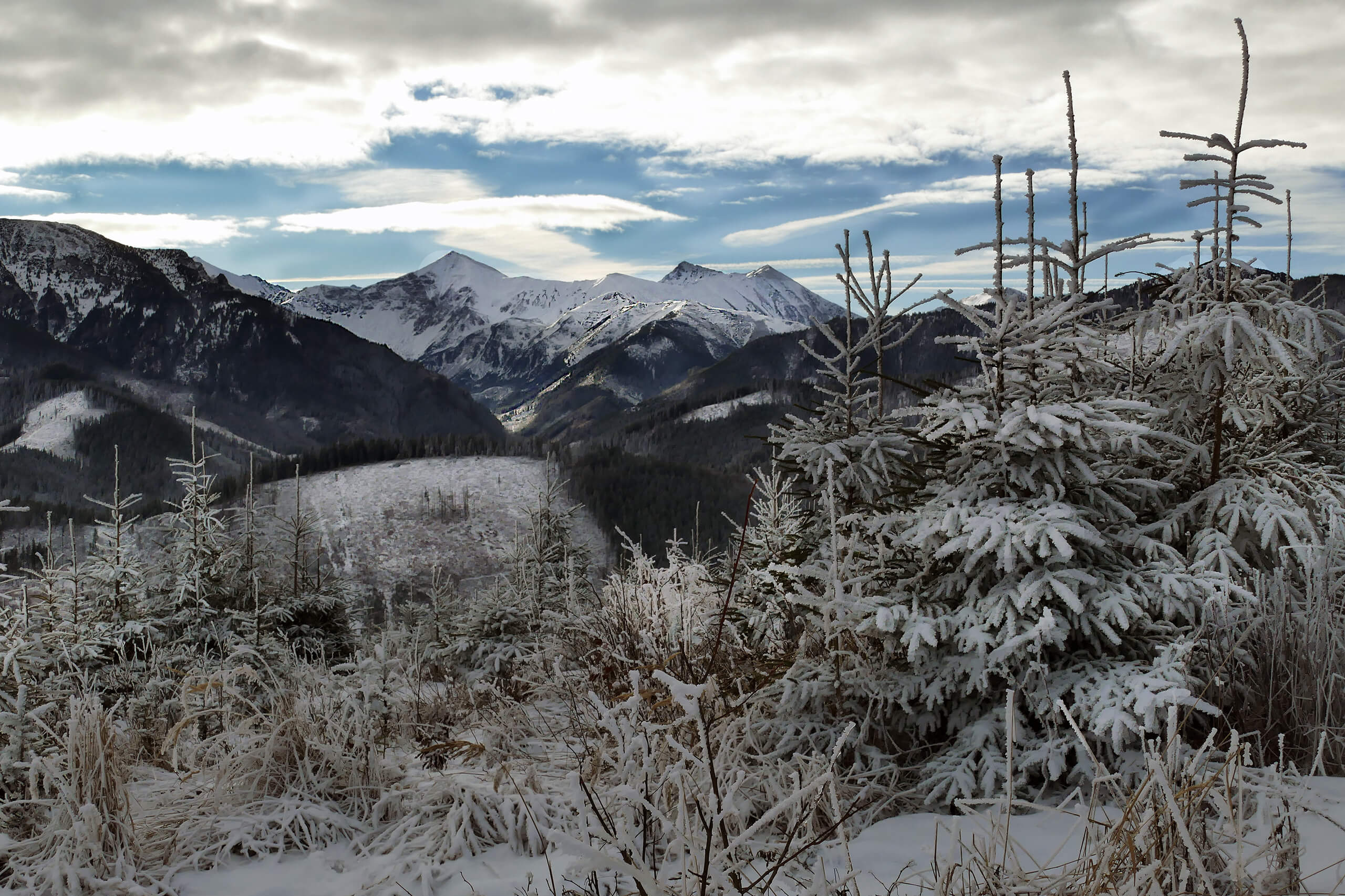 Magura Witowska widoki ze szlaku
