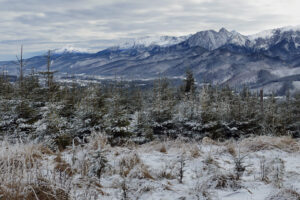 Magura Witowska widok na Tatry