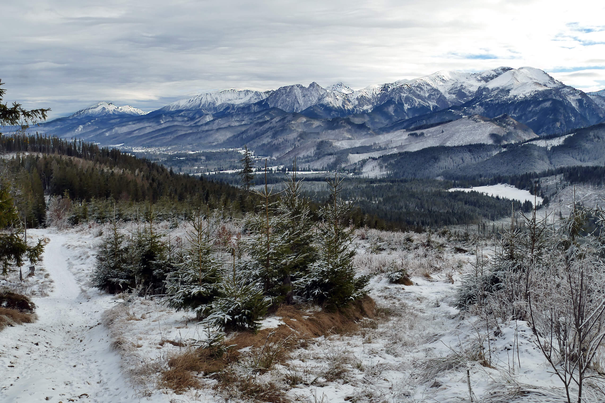Panorama Tatr z Magury Witowskiej