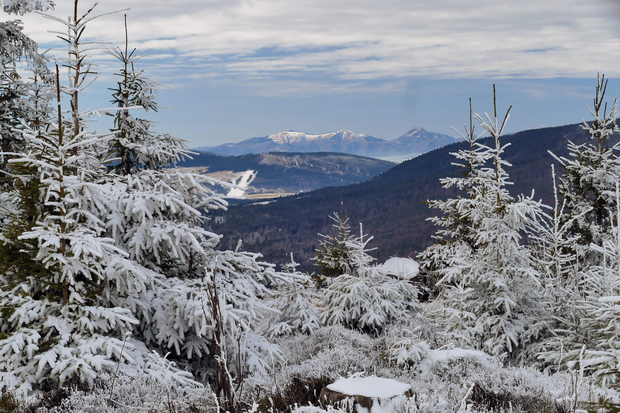 Widok ze szczytu Magury Witowskiej