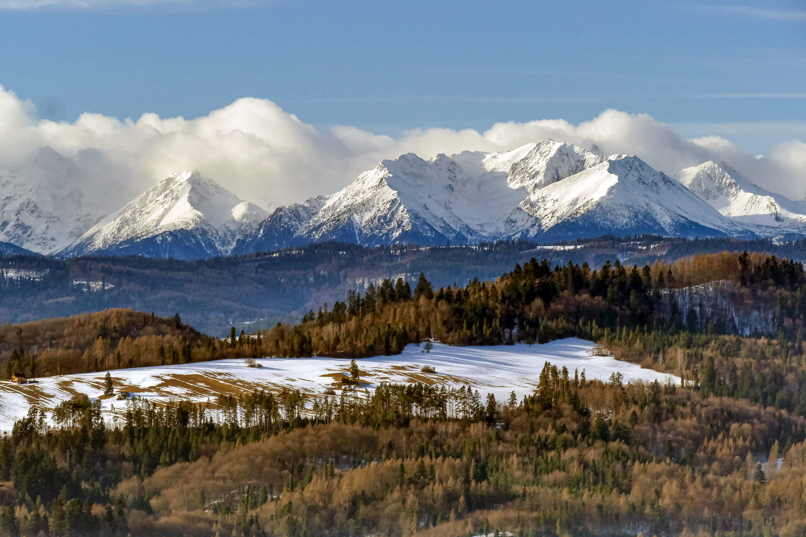 Widok na Tatry z Wielkiego Pola