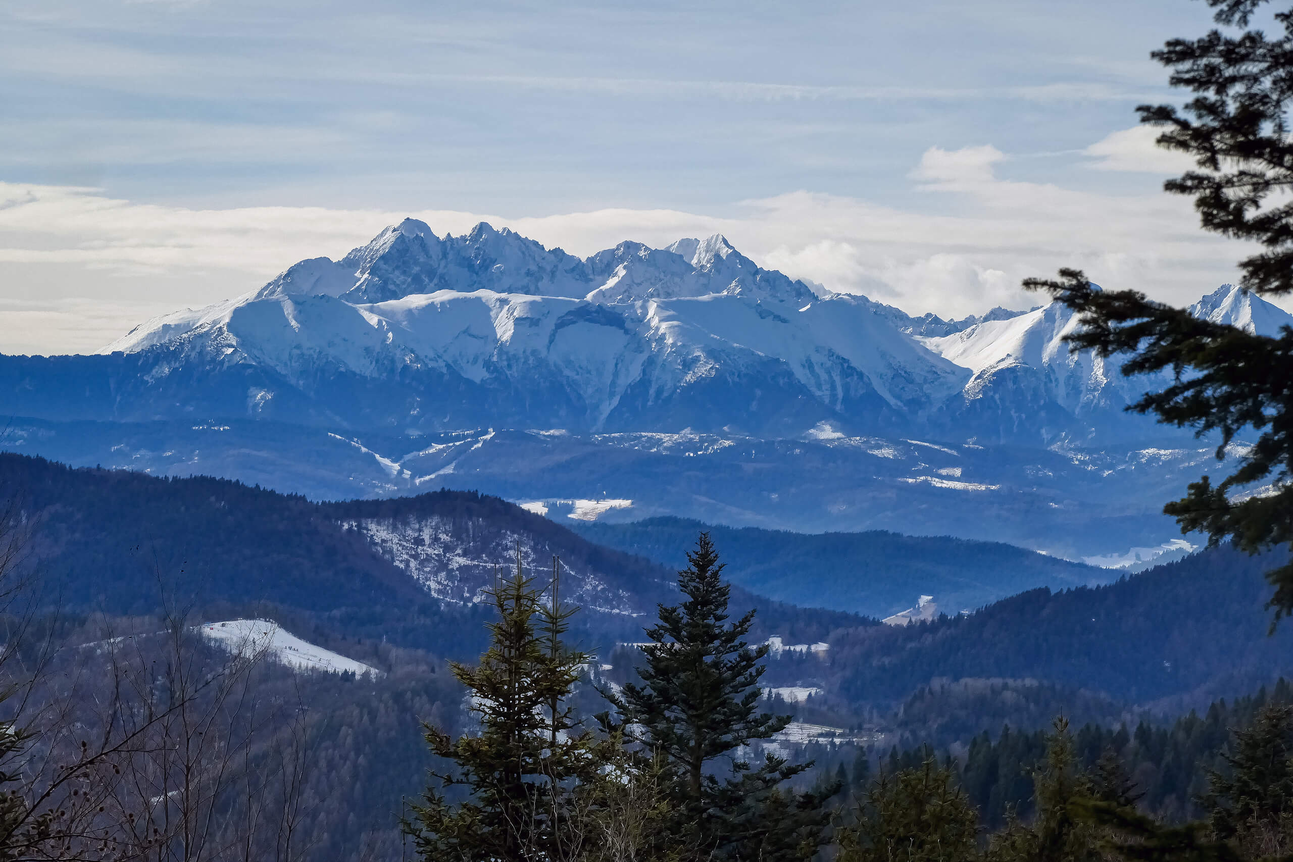 Szlak na Przehybę , widoki na Tatry