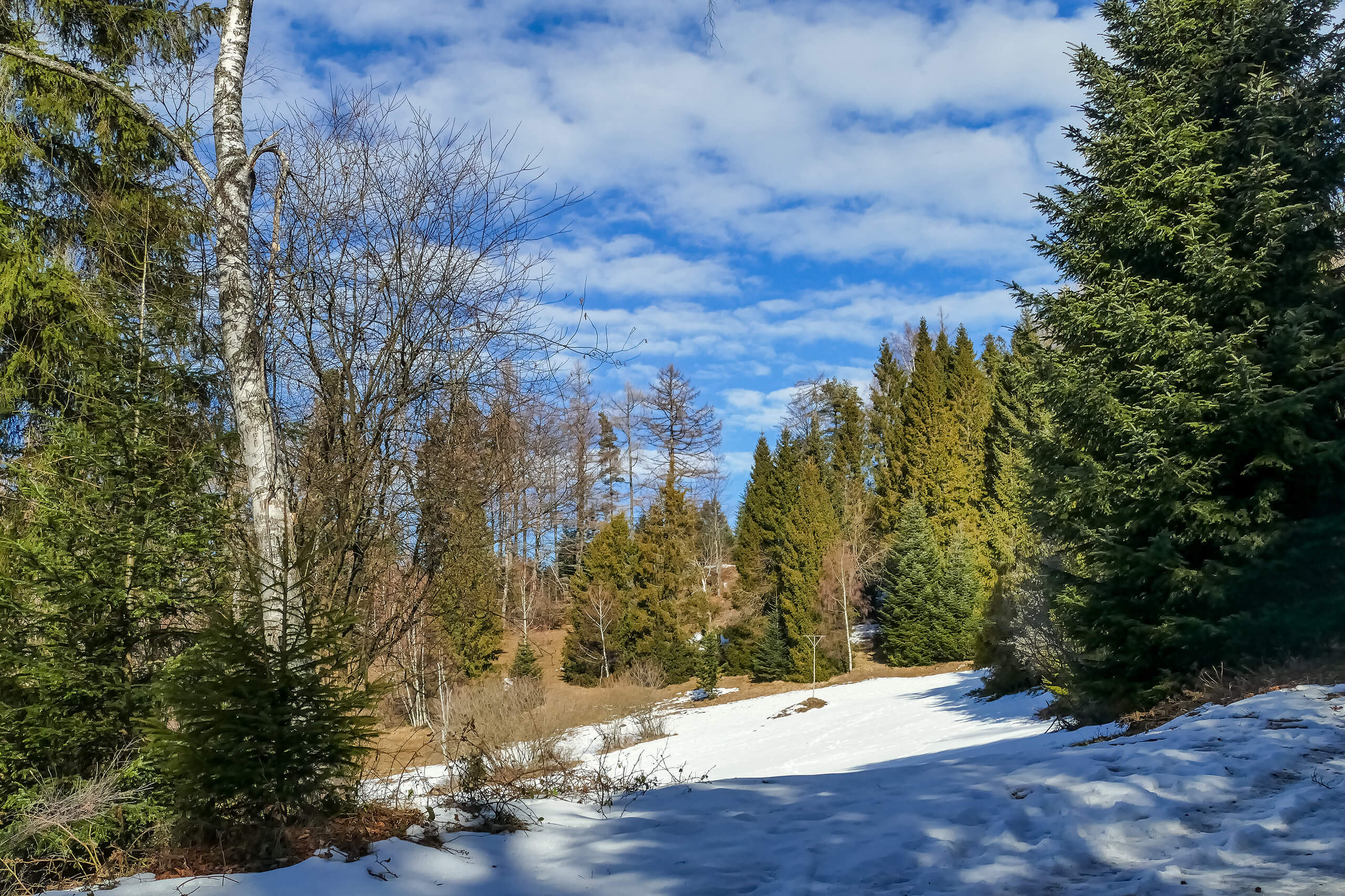 Piękna polana przy niebieskim szlaku