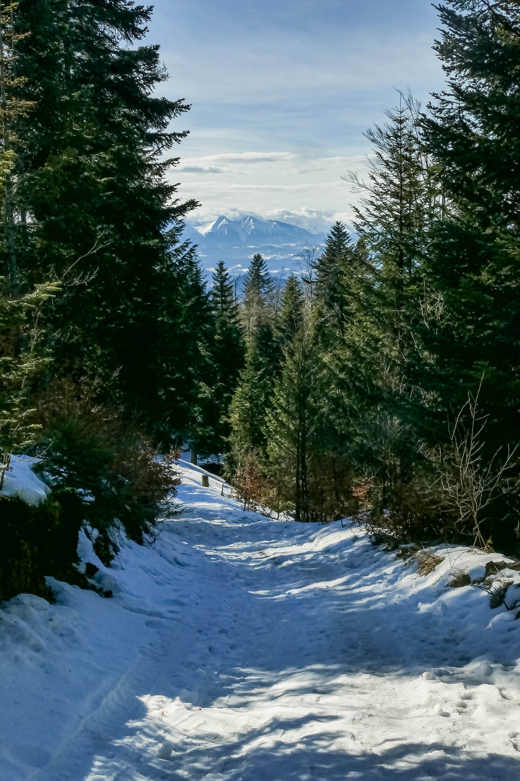 Przehyba szlakiem niebieskim