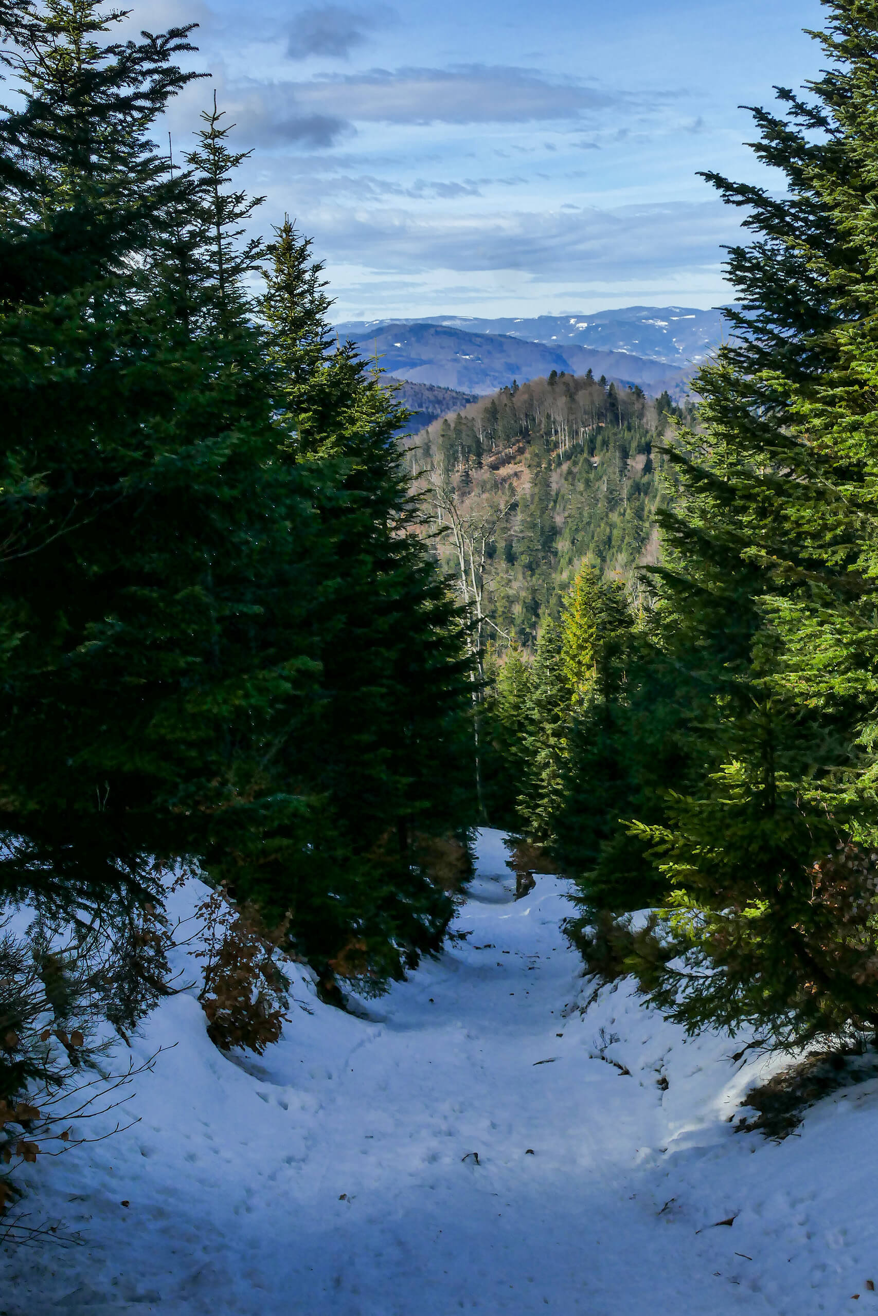 Przehyba szlakiem niebieskim