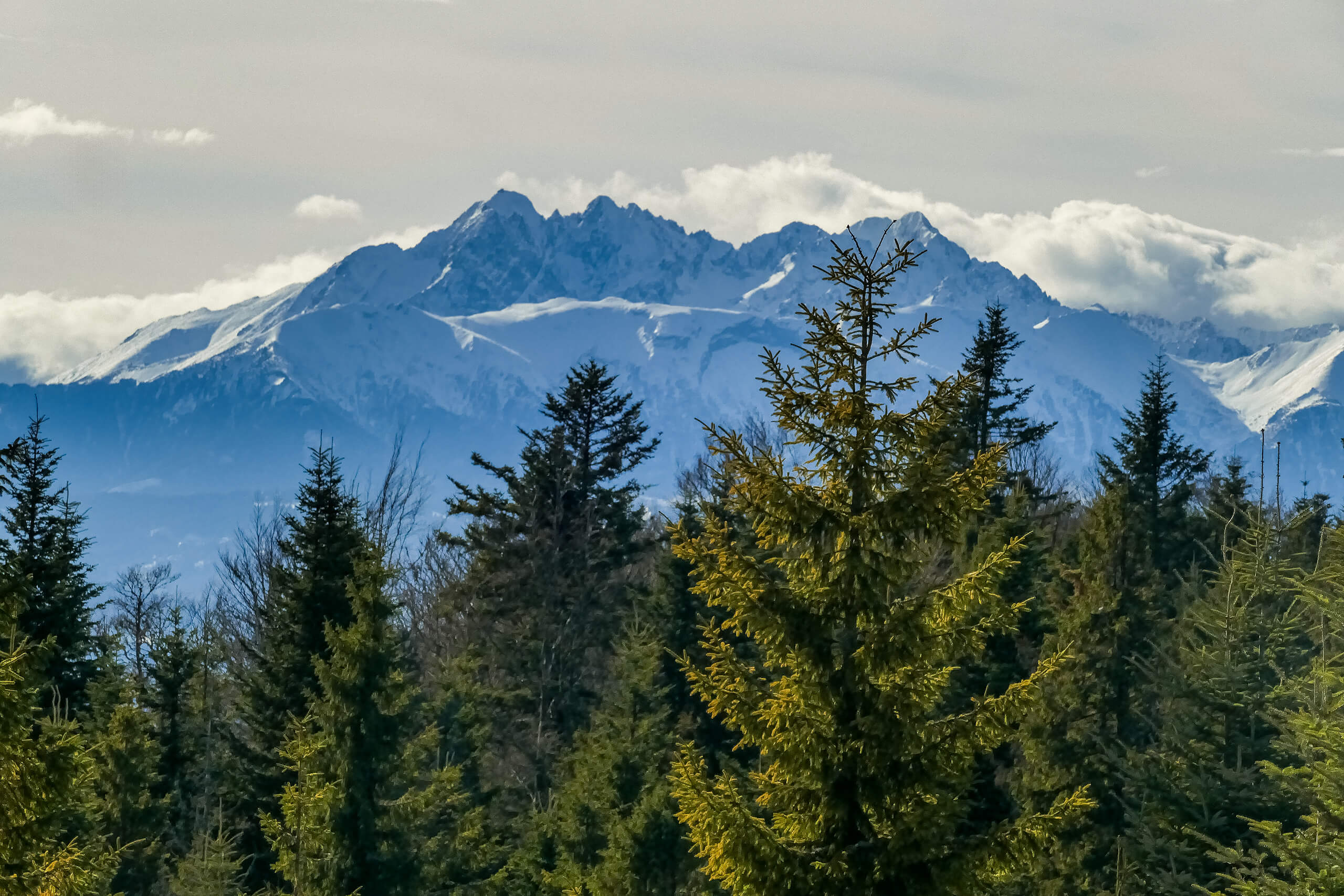Tatry widziane ze szlaku