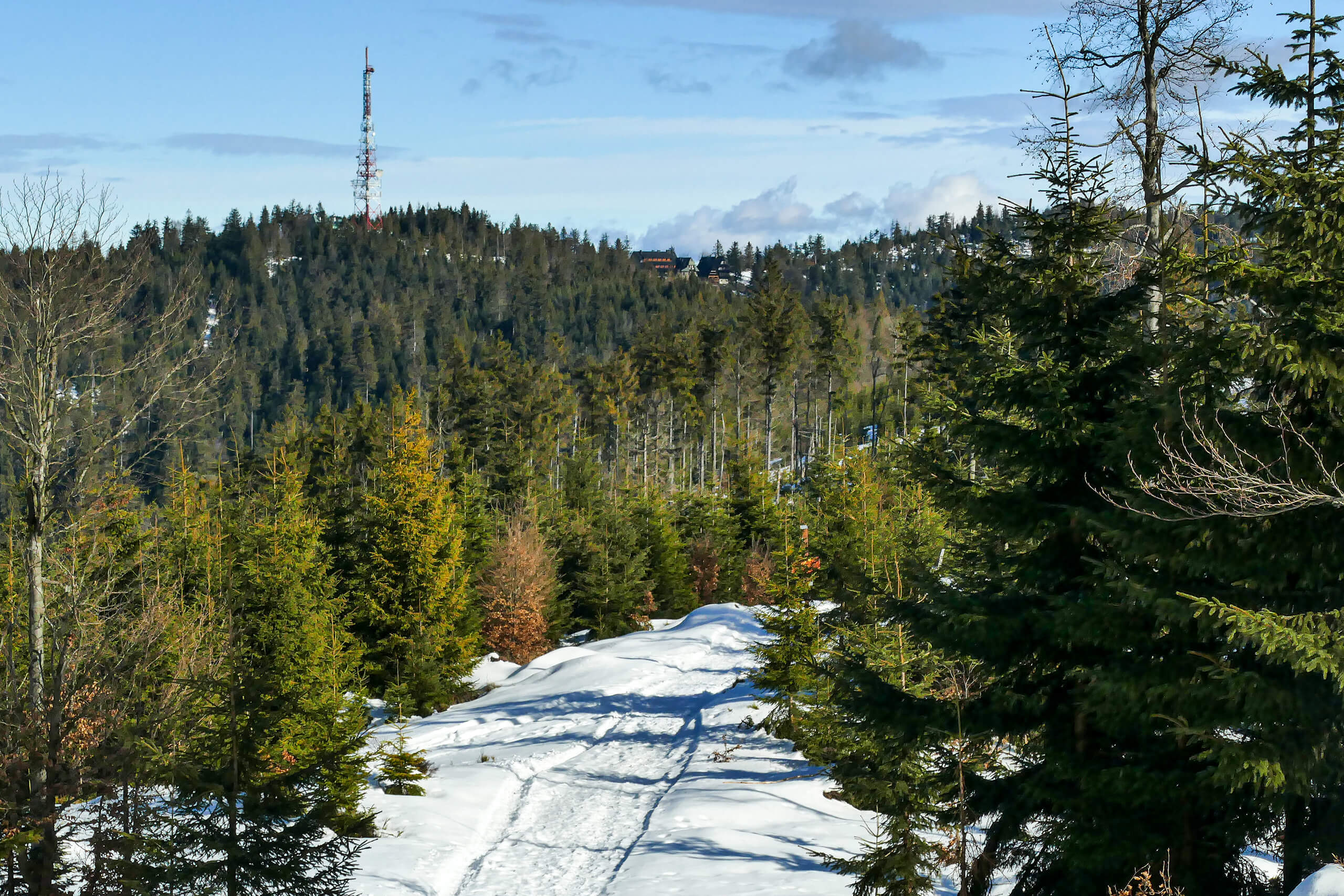 Widać już schronisko i wieżę przekaźnikową na Przehybie