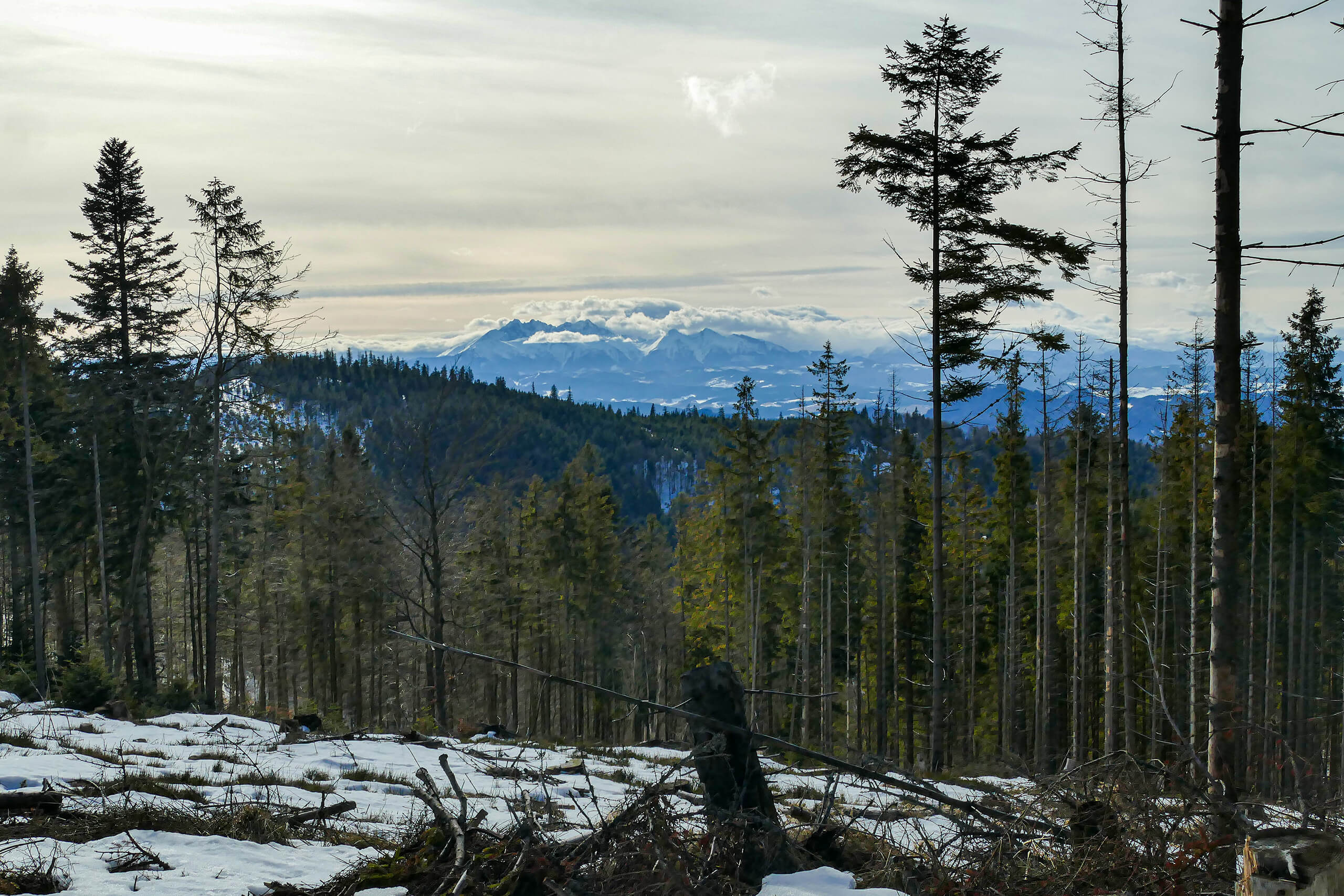 Zejście czerwonym szlakiem