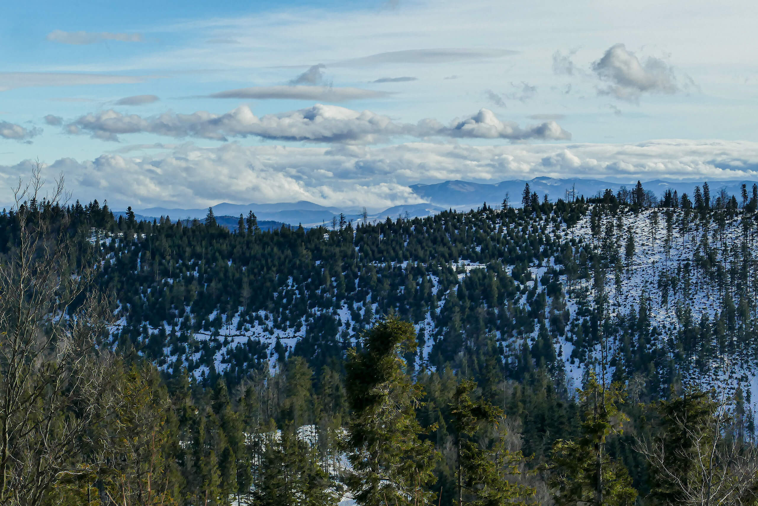 Widok na góry słowackie w halnej chmurze
