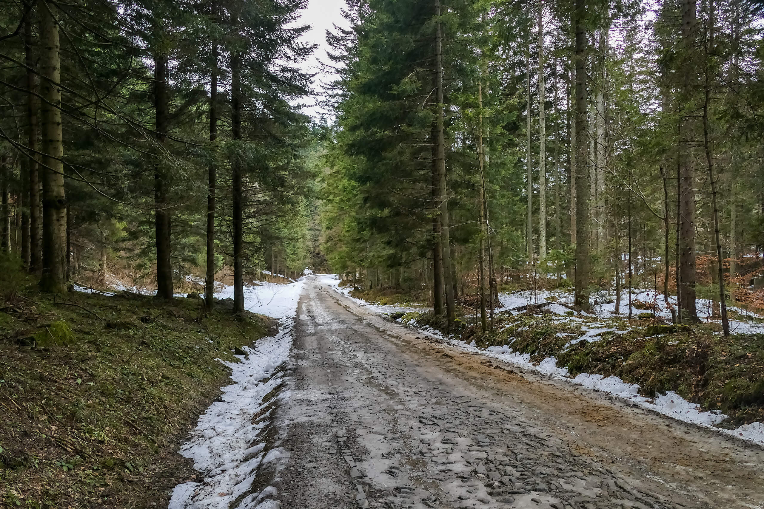 Droga do Sewerynówki