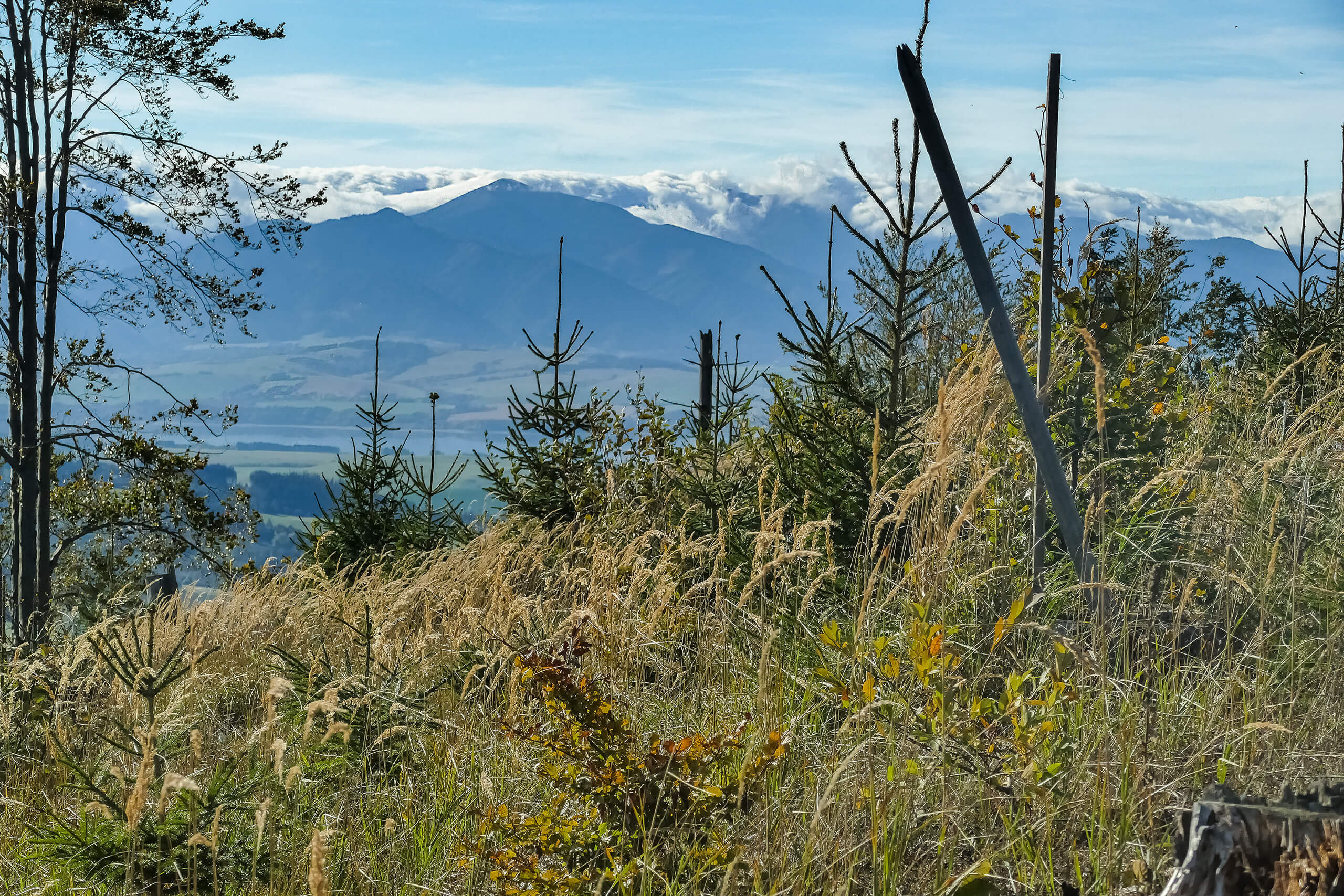 Tatry Niżne z Ostrego Wierchu