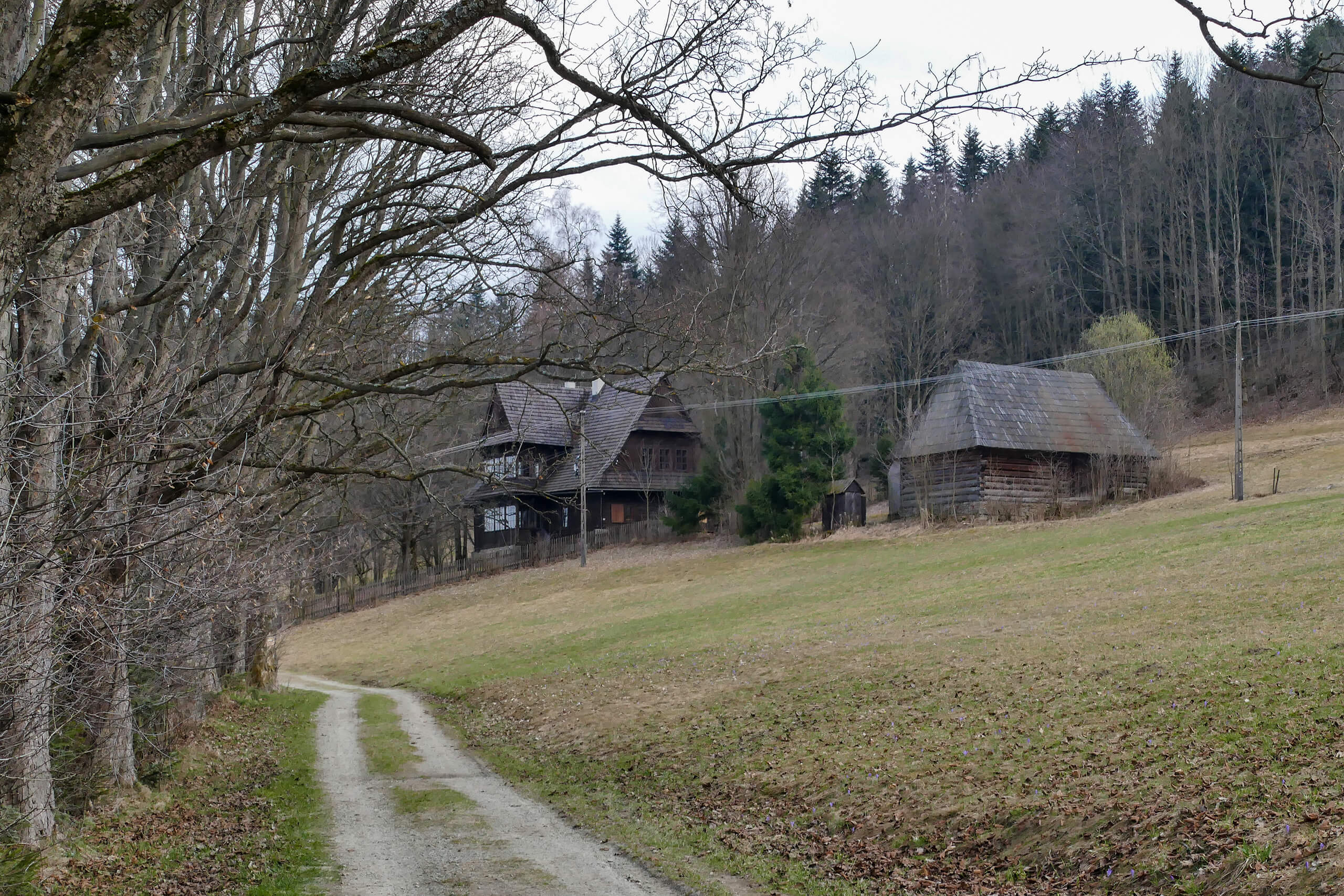 Orkanówka