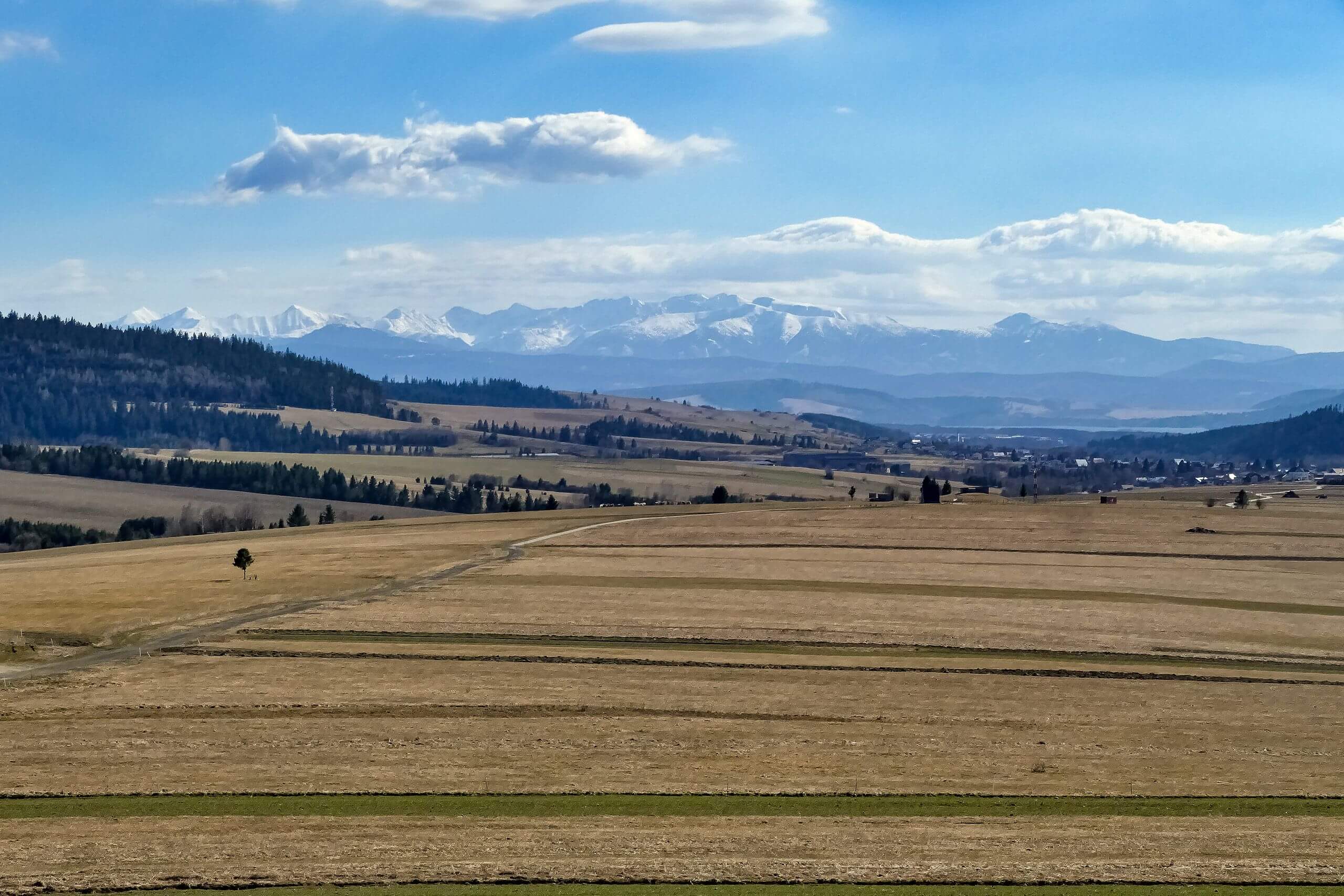 Widok z wieży na Tatry