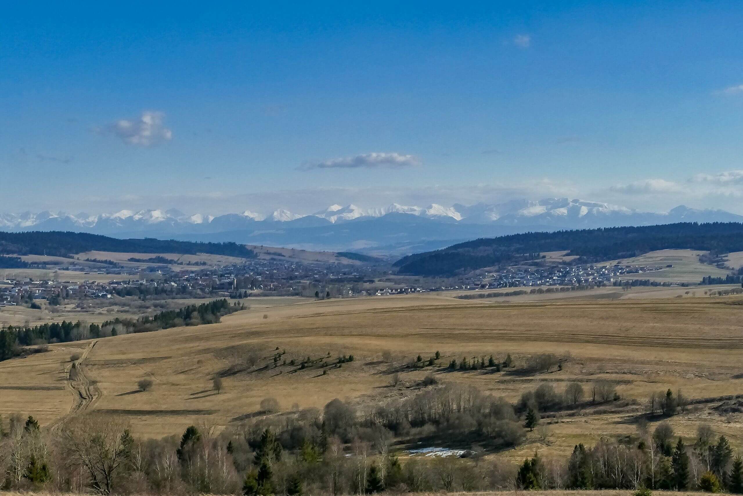 Widok ze stolca/krzesła