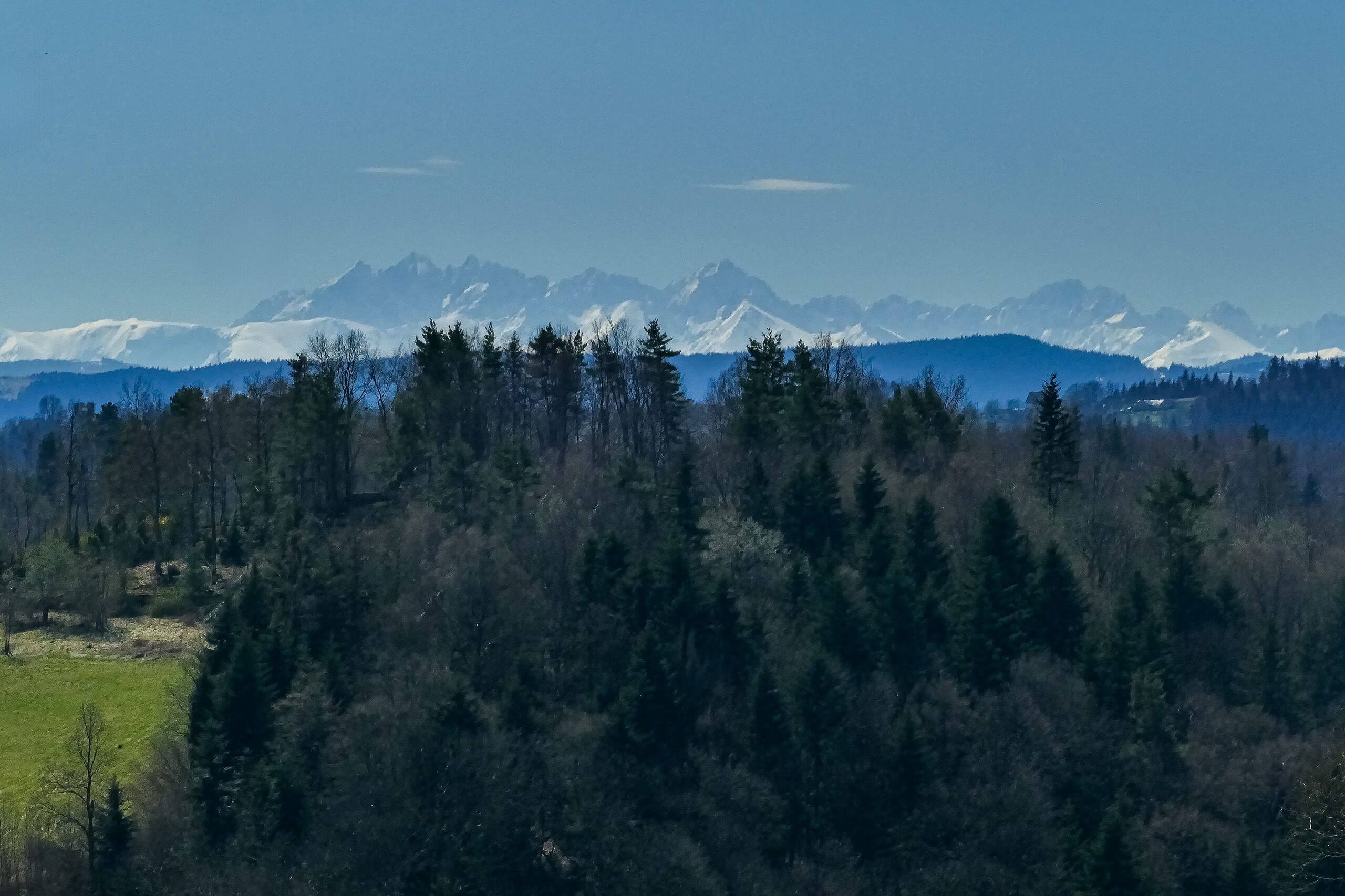 Droga na Pasierbiecką Górę
