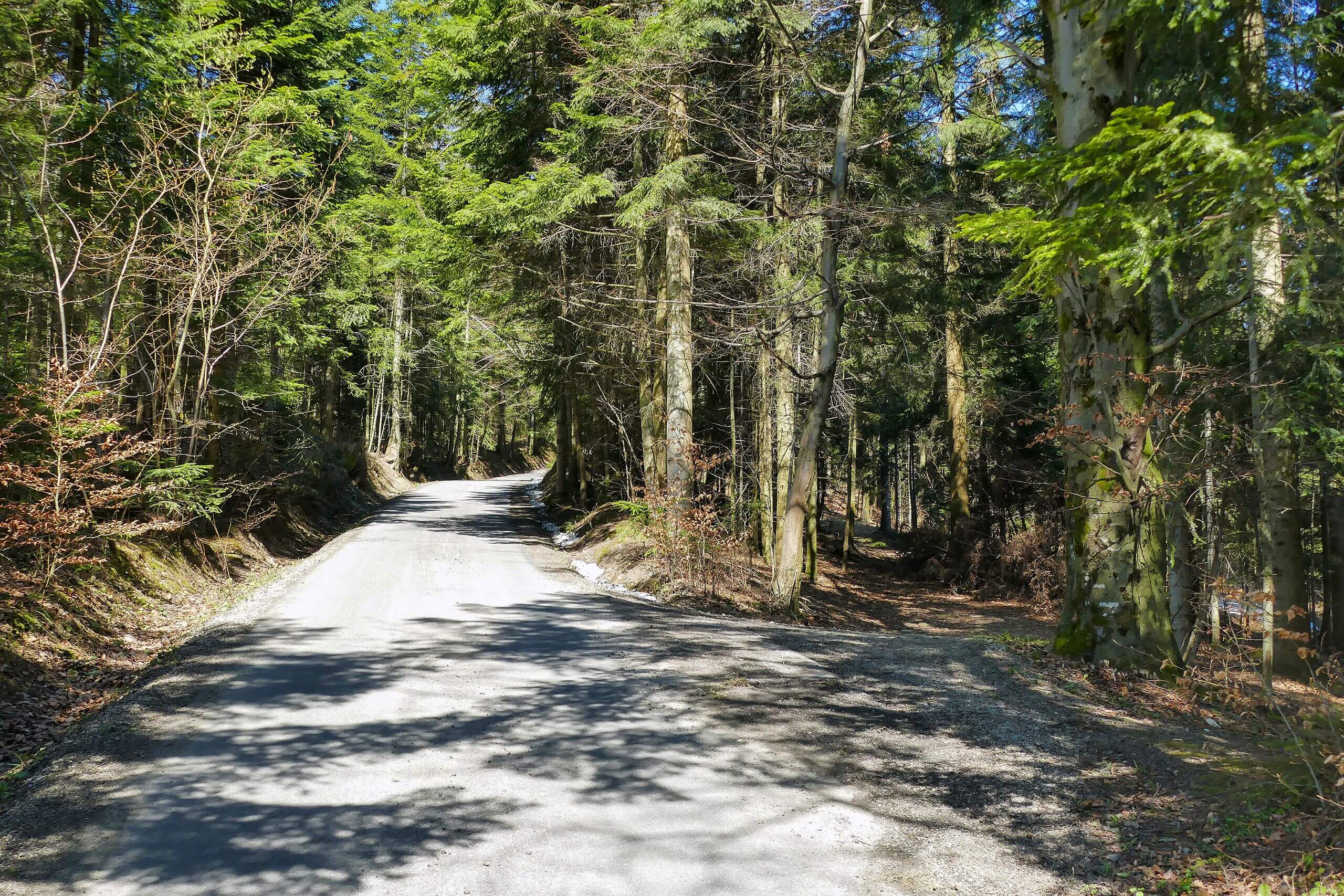 Droga na Pasierbiecką Górę
