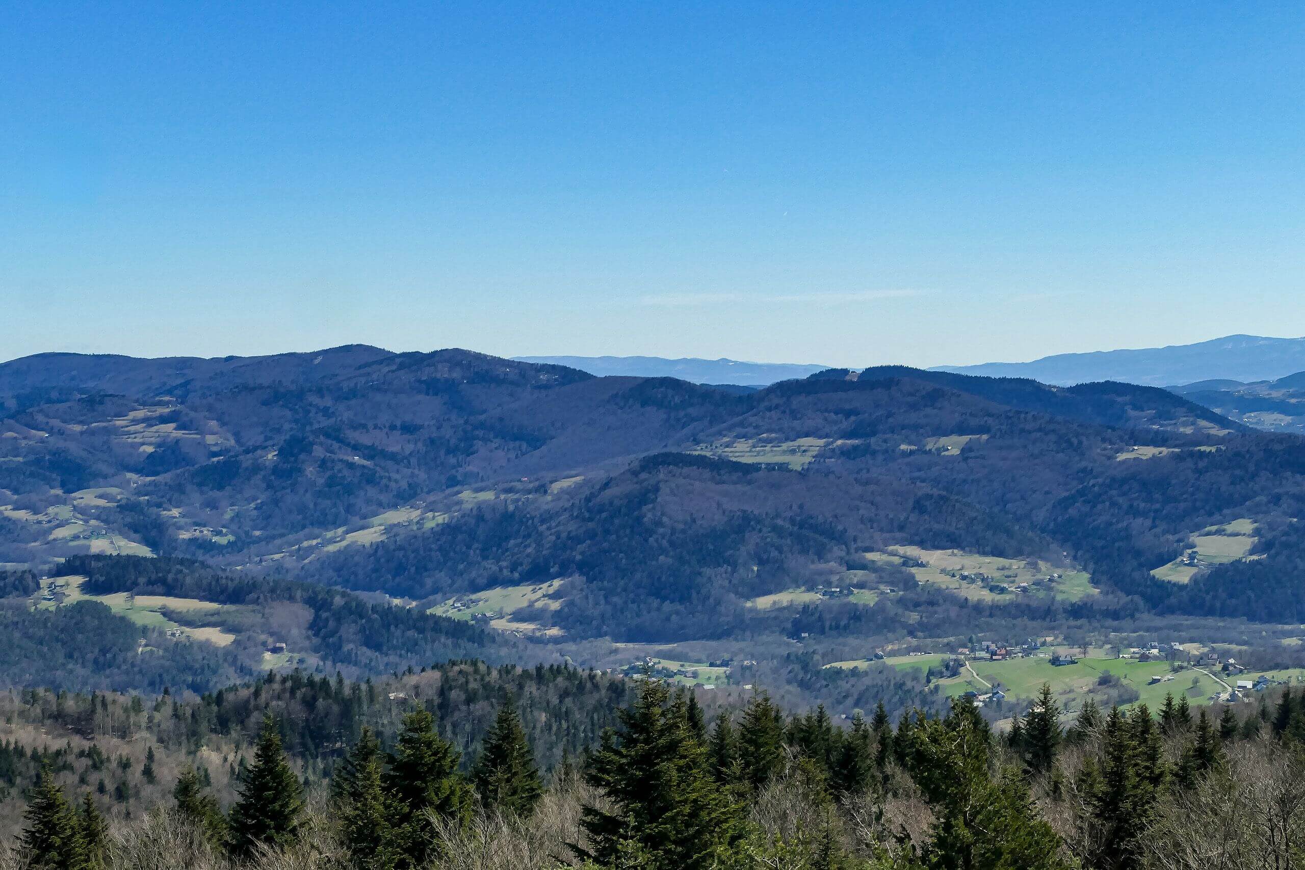 Wieża widokowa na Kamionnej