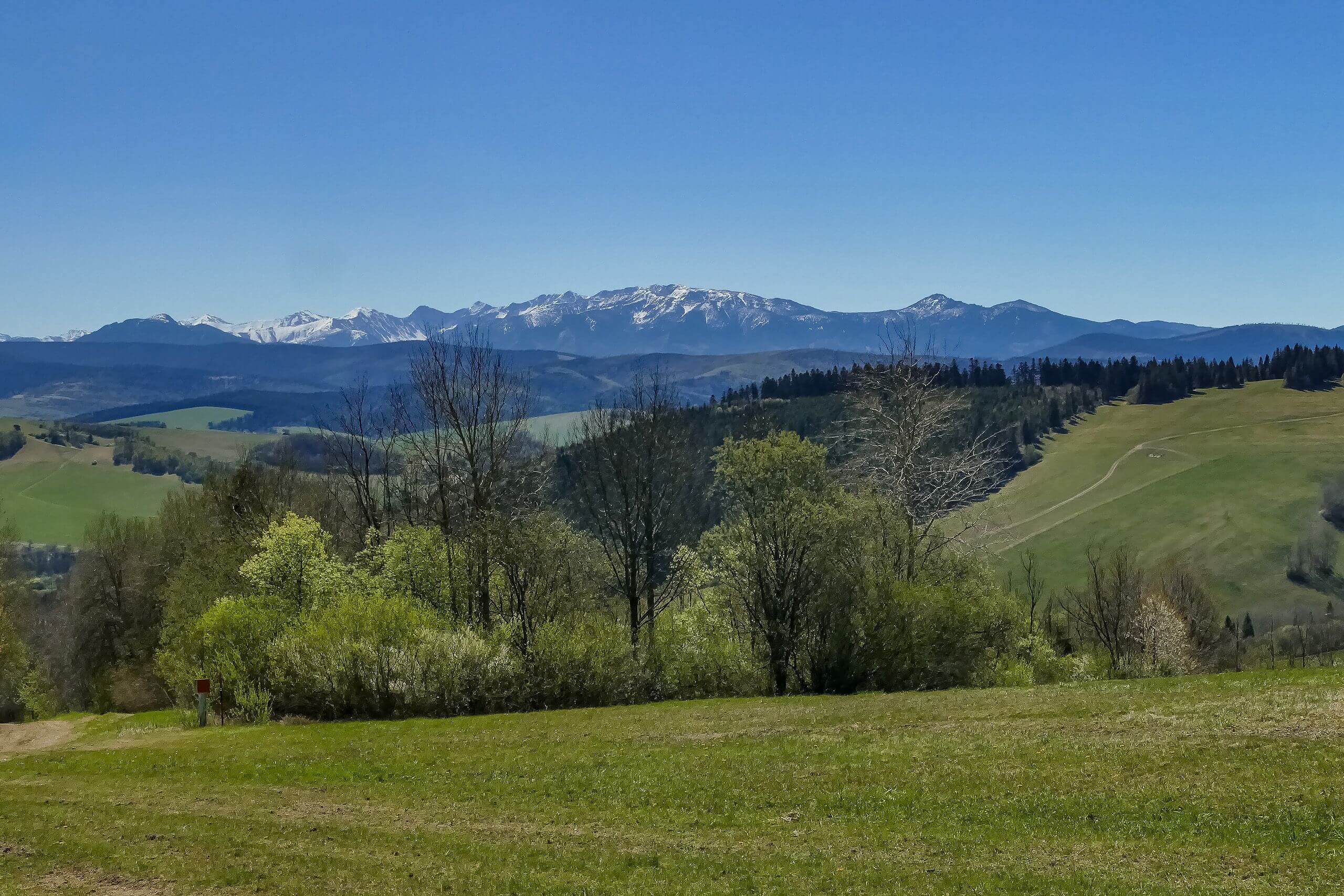 Szlak na Magurkę-widok na Tatry