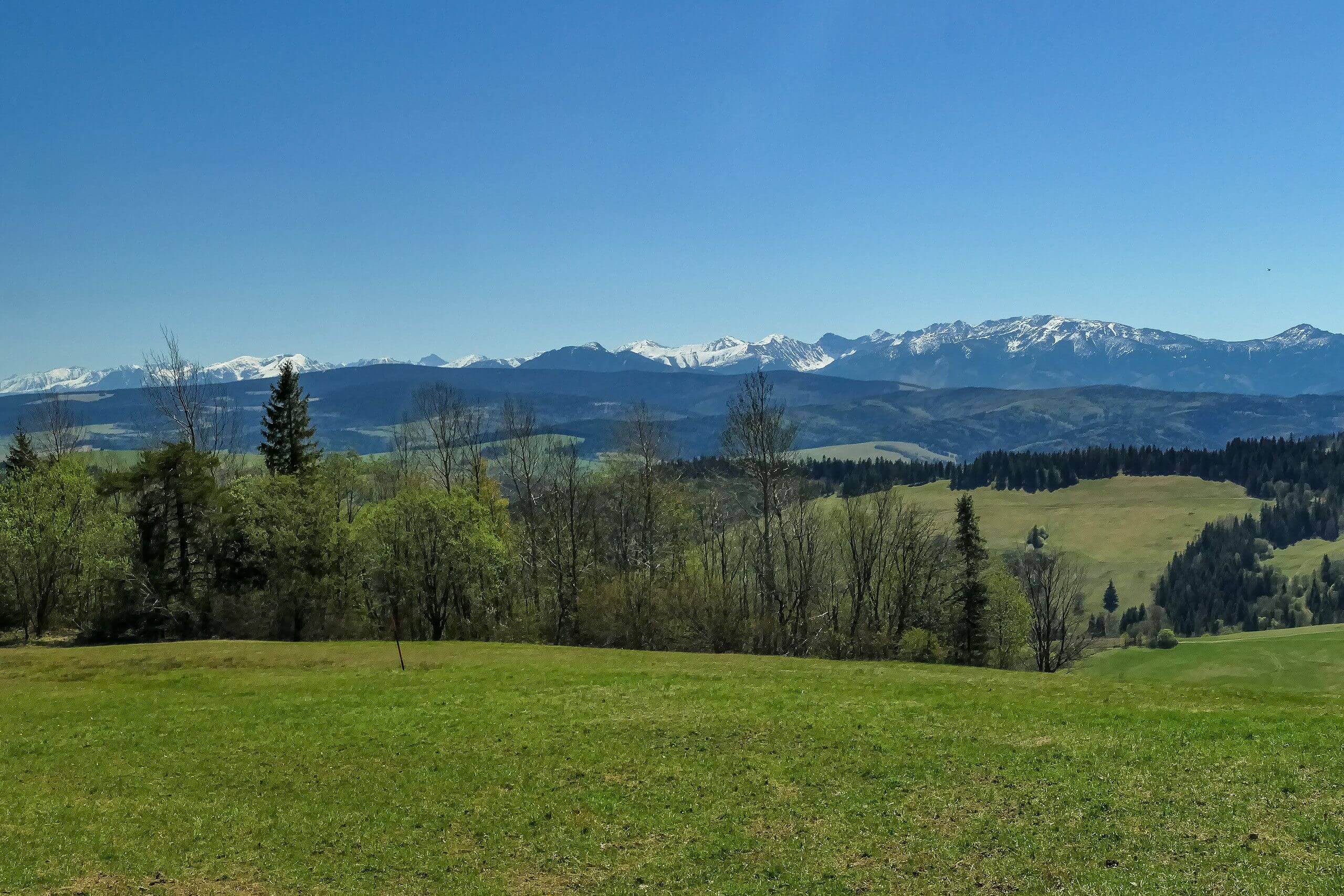 Szlak na Magurkę-widok na Tatry