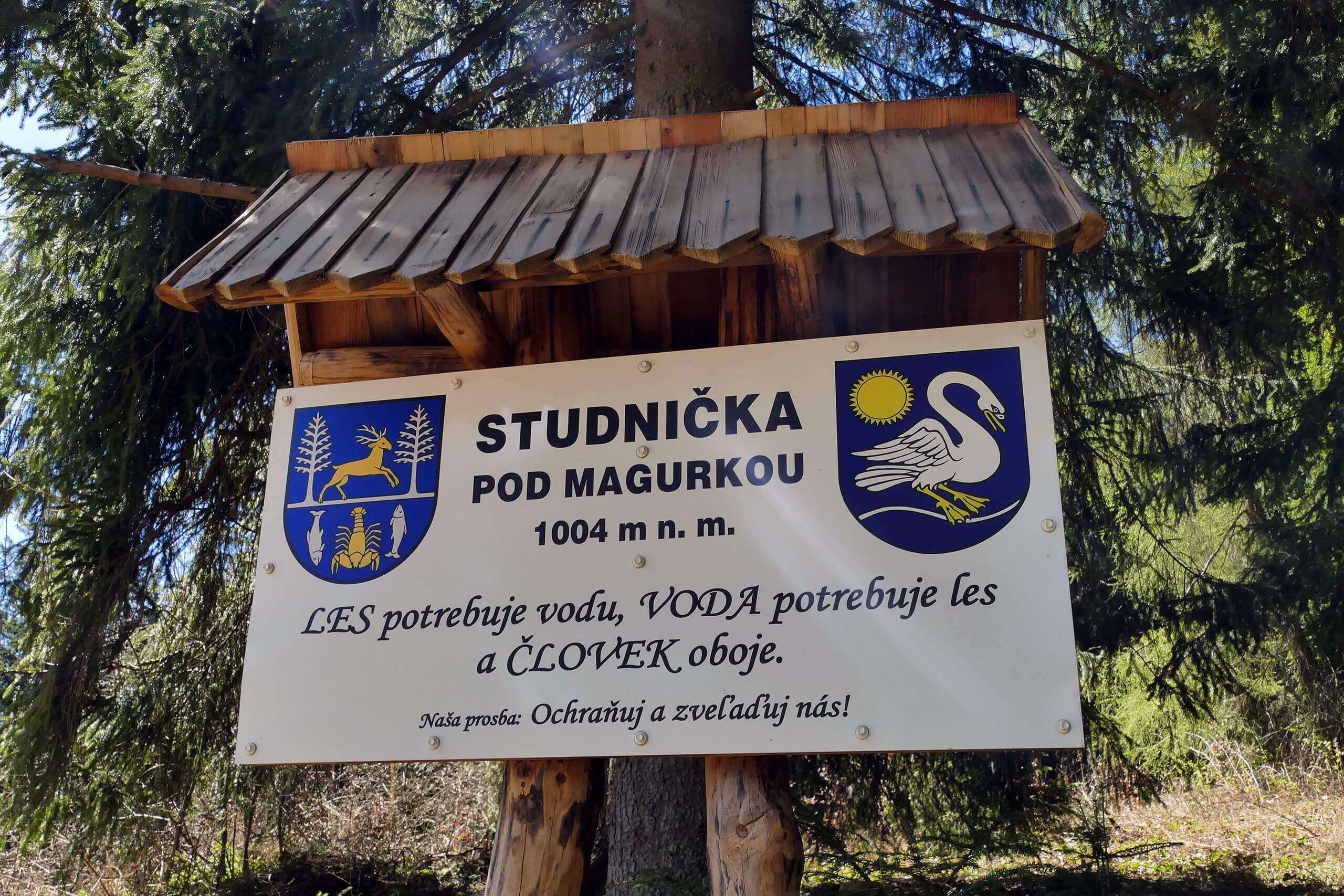 Las potrzebuje wody, a ludzie oboje