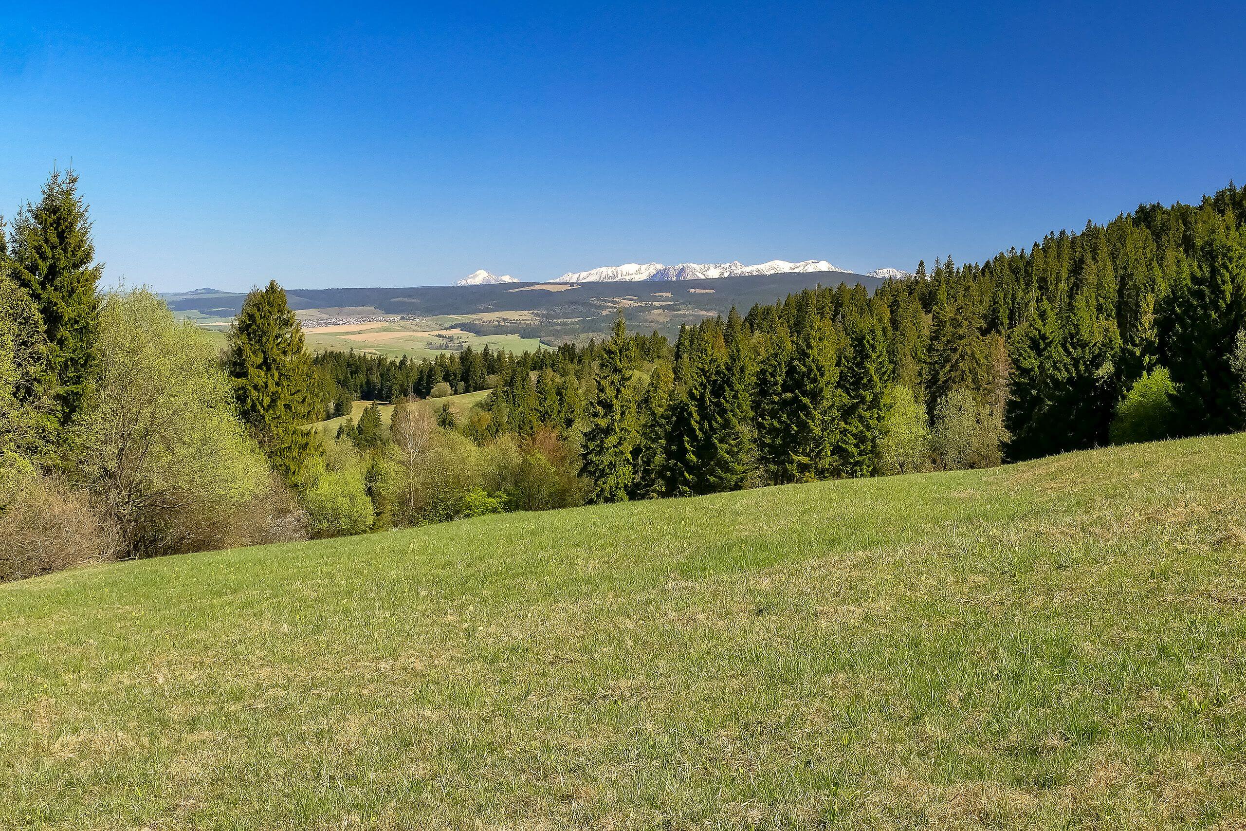 Zejście pozaszlakowe widok na Tatry